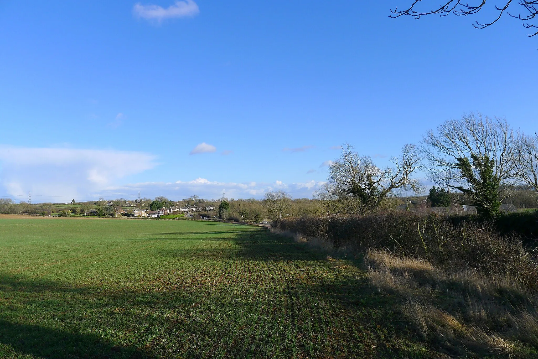 Photo showing: A field west of Ryhall