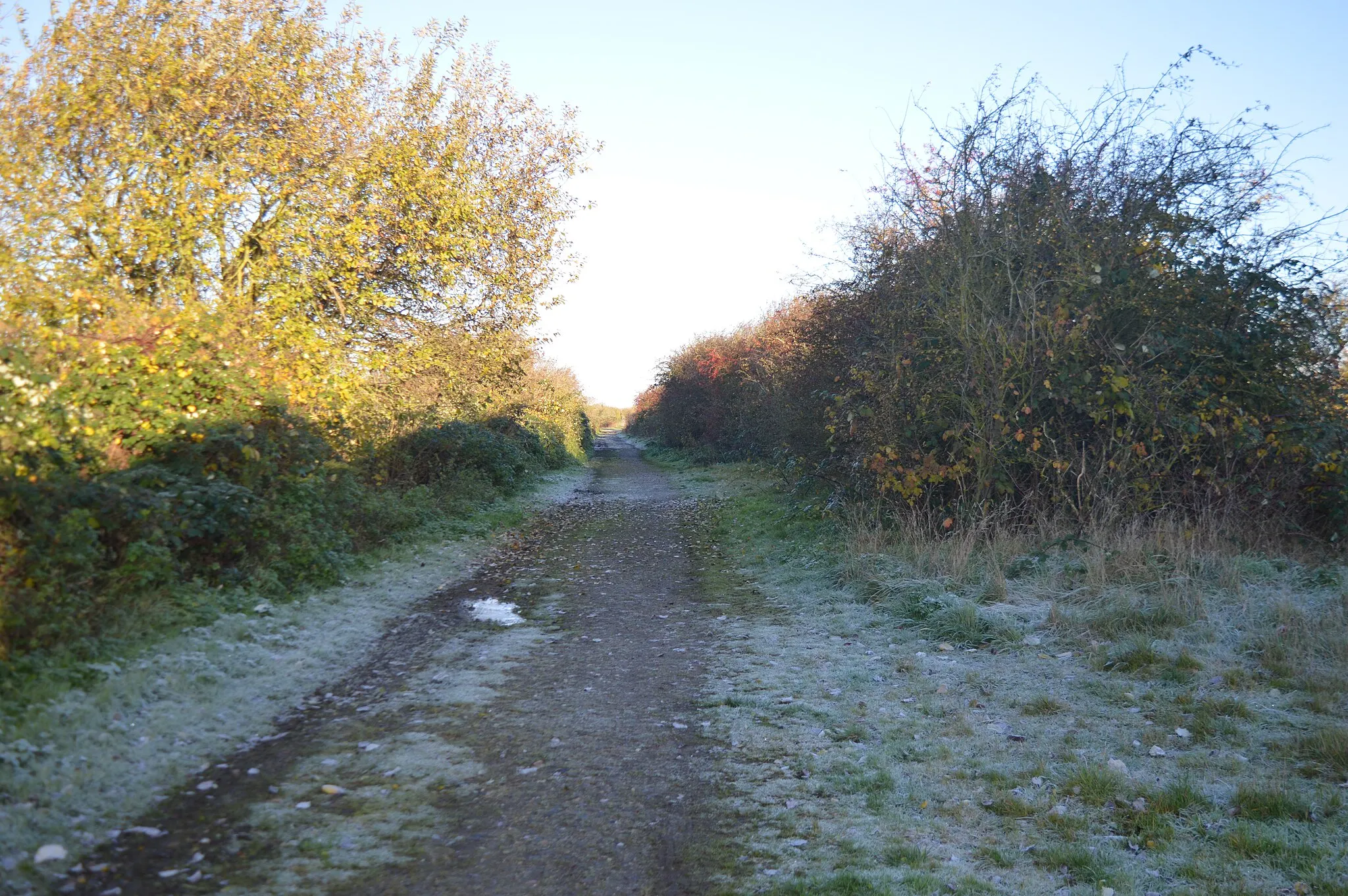Photo showing: Ring's End is a Local Nature Reserve north of March in Cambridgeshire