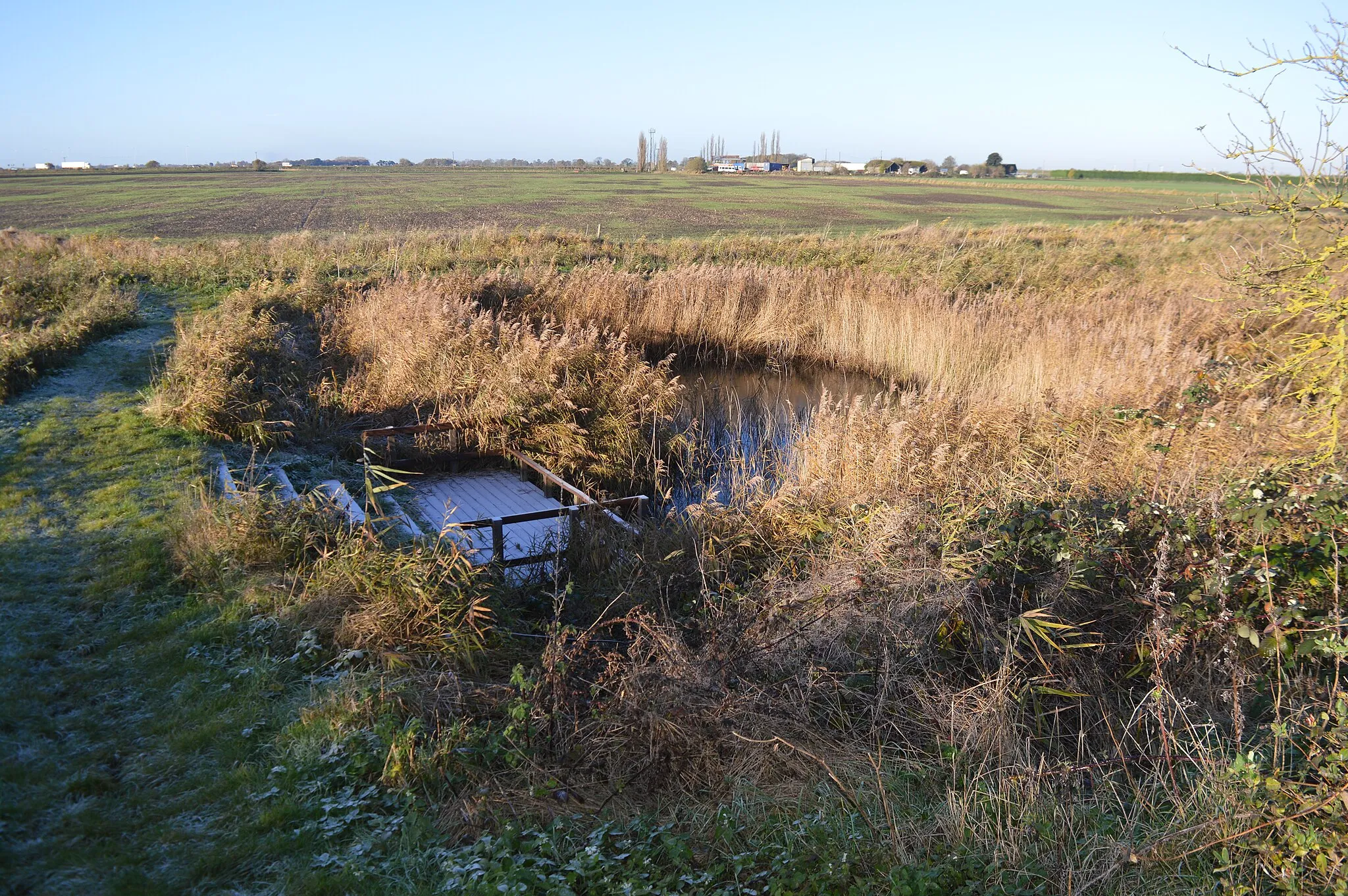 Photo showing: Ring's End is a Local Nature Reserve north of March in Cambridgeshire