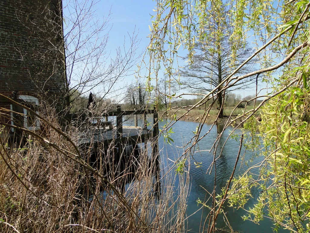 Photo showing: A small part of the mill pond