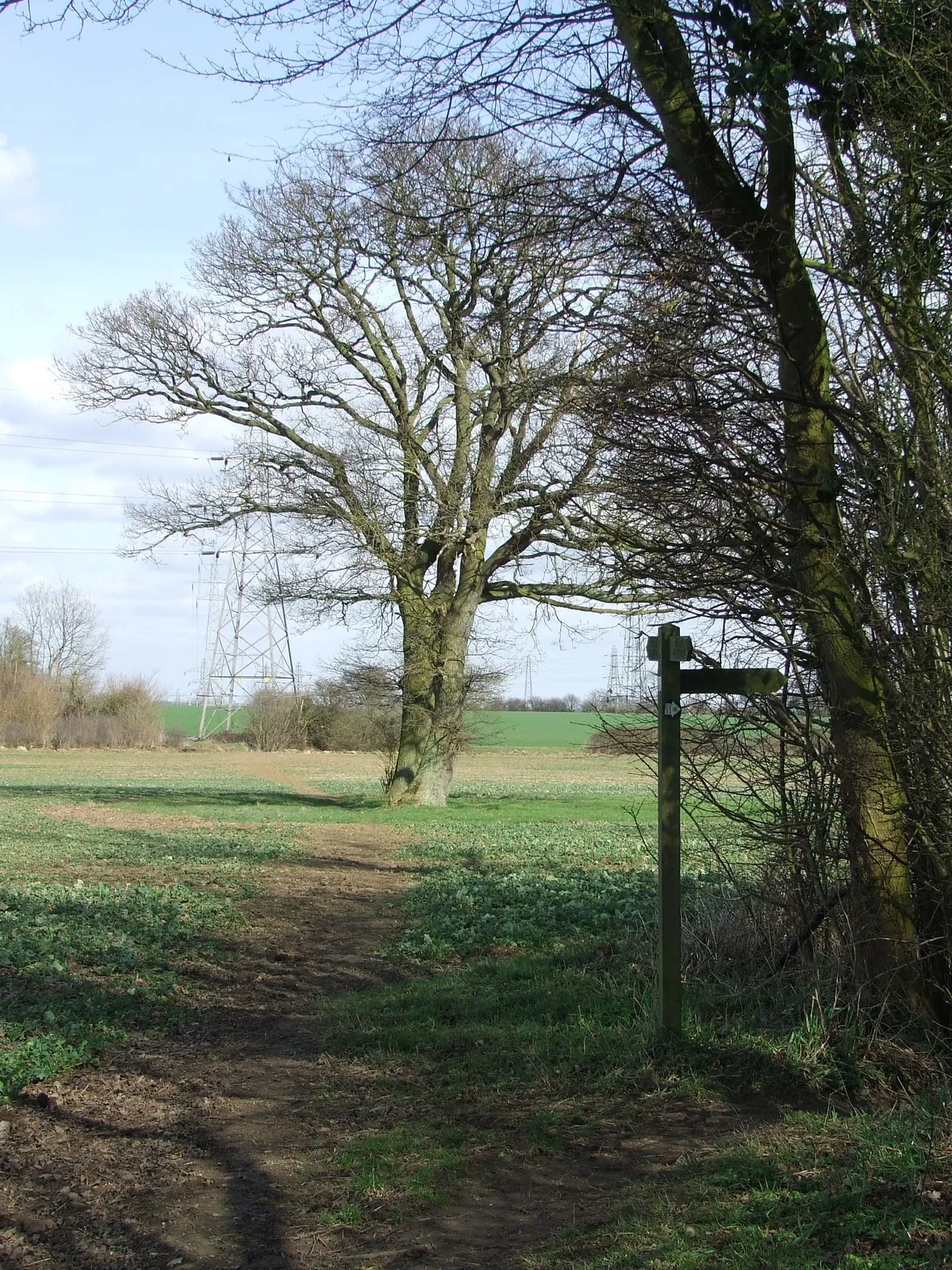 Photo showing: Post And Pylons Footpath post, tree and pylons looking north east near to Combs Ford, Suffolk.
