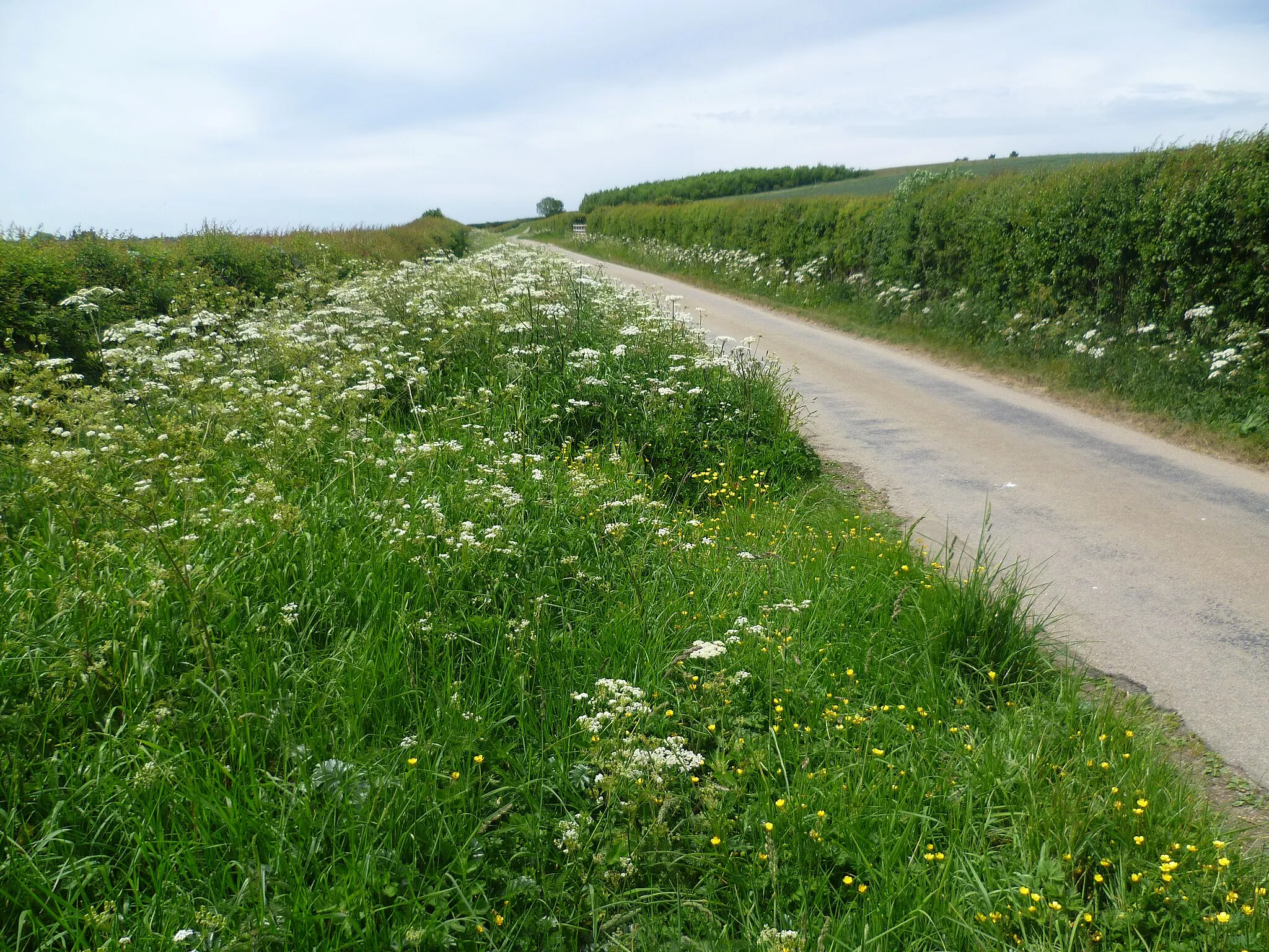 Photo showing: Looking along Thorpe Road