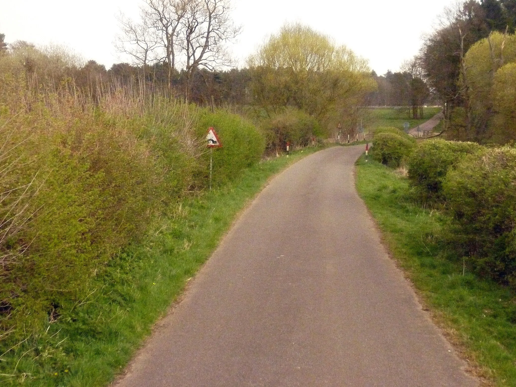 Photo showing: A small bridge en route to Langford