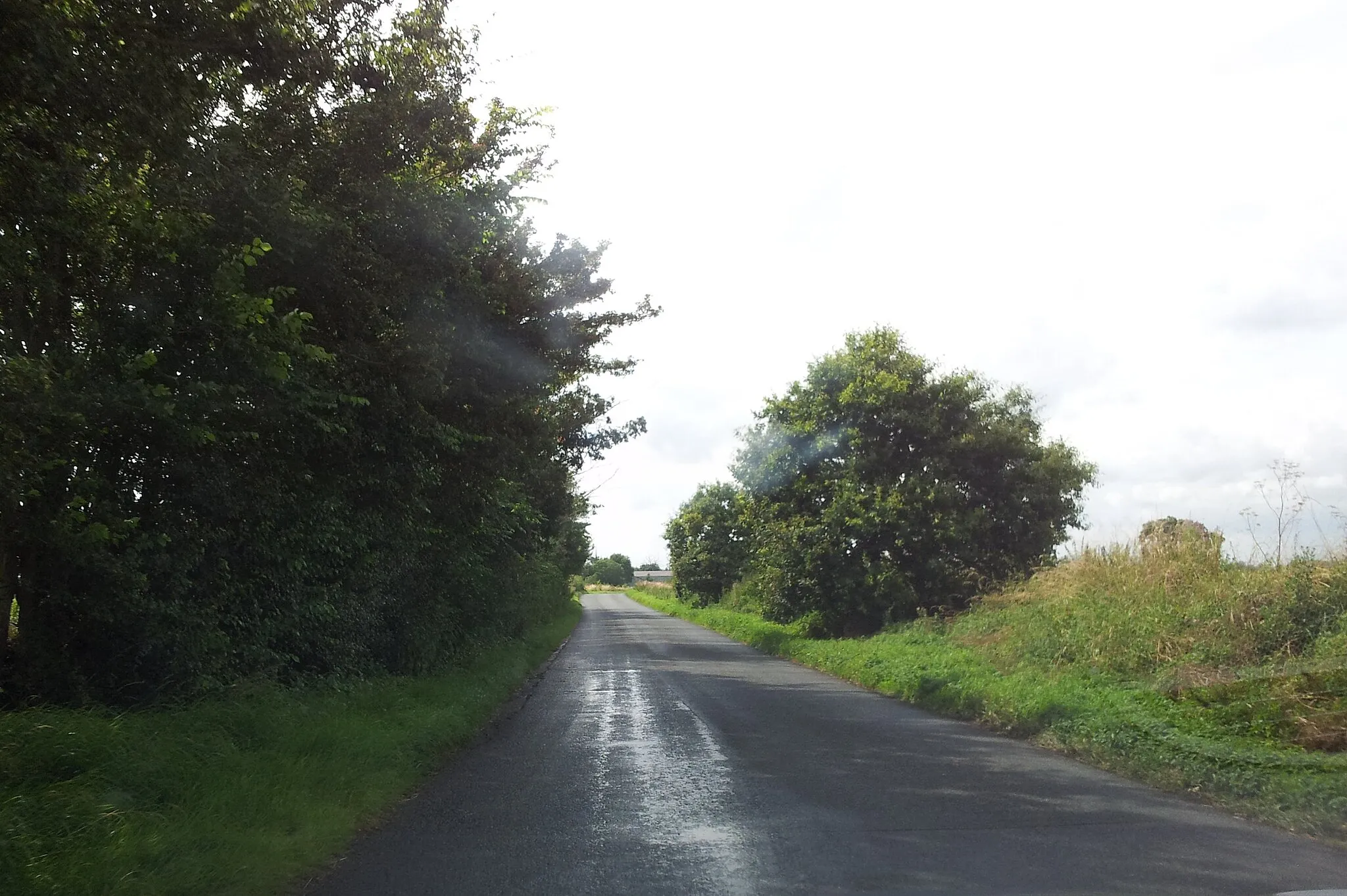 Photo showing: A country road after the rain