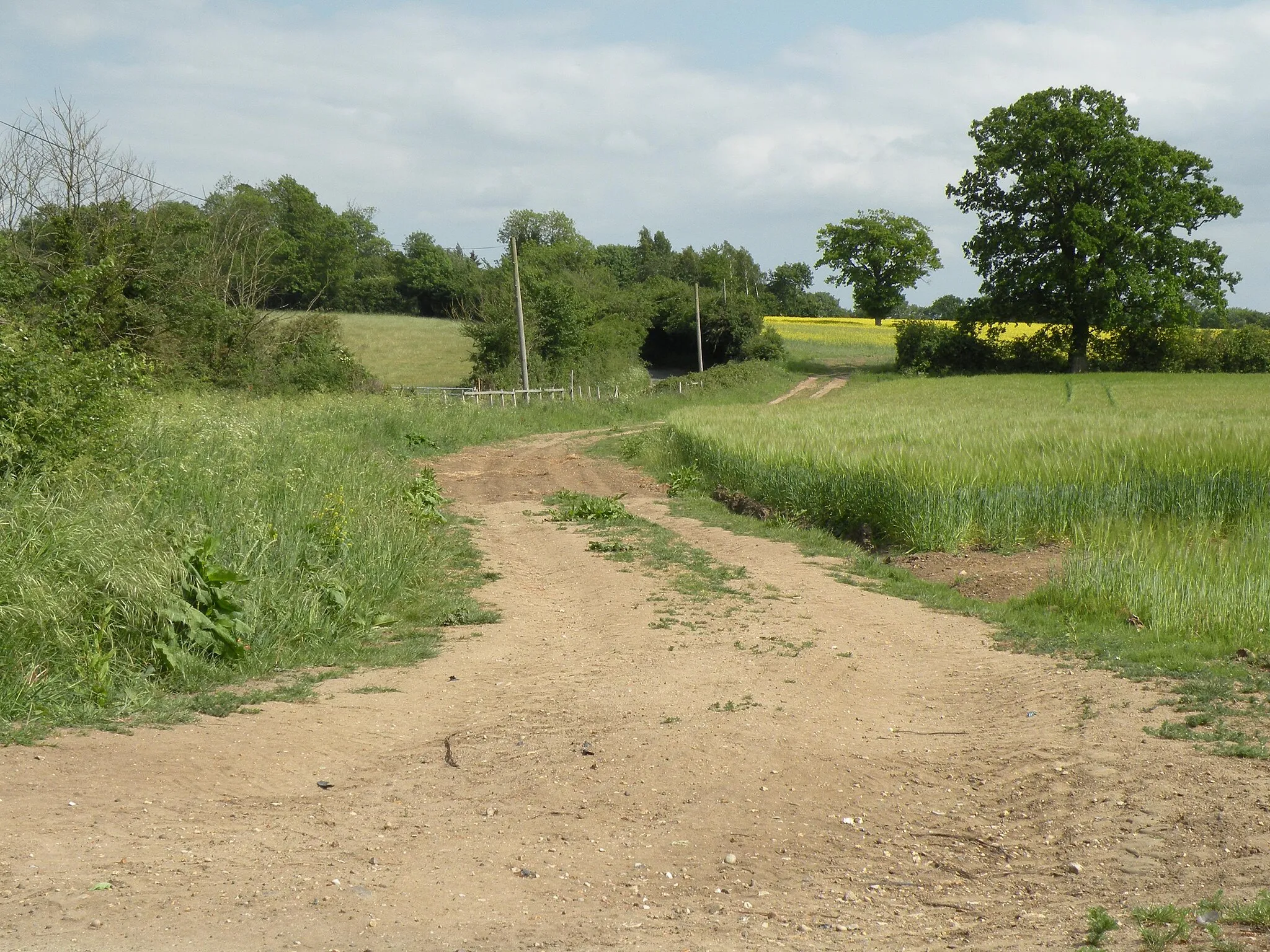 Photo showing: A farm track near to Wortham parish church