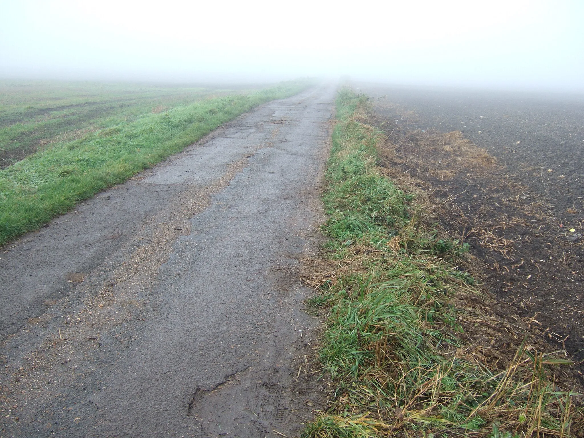 Photo showing: A foggy day on Round House Drove, Tick Fen, Chatteris