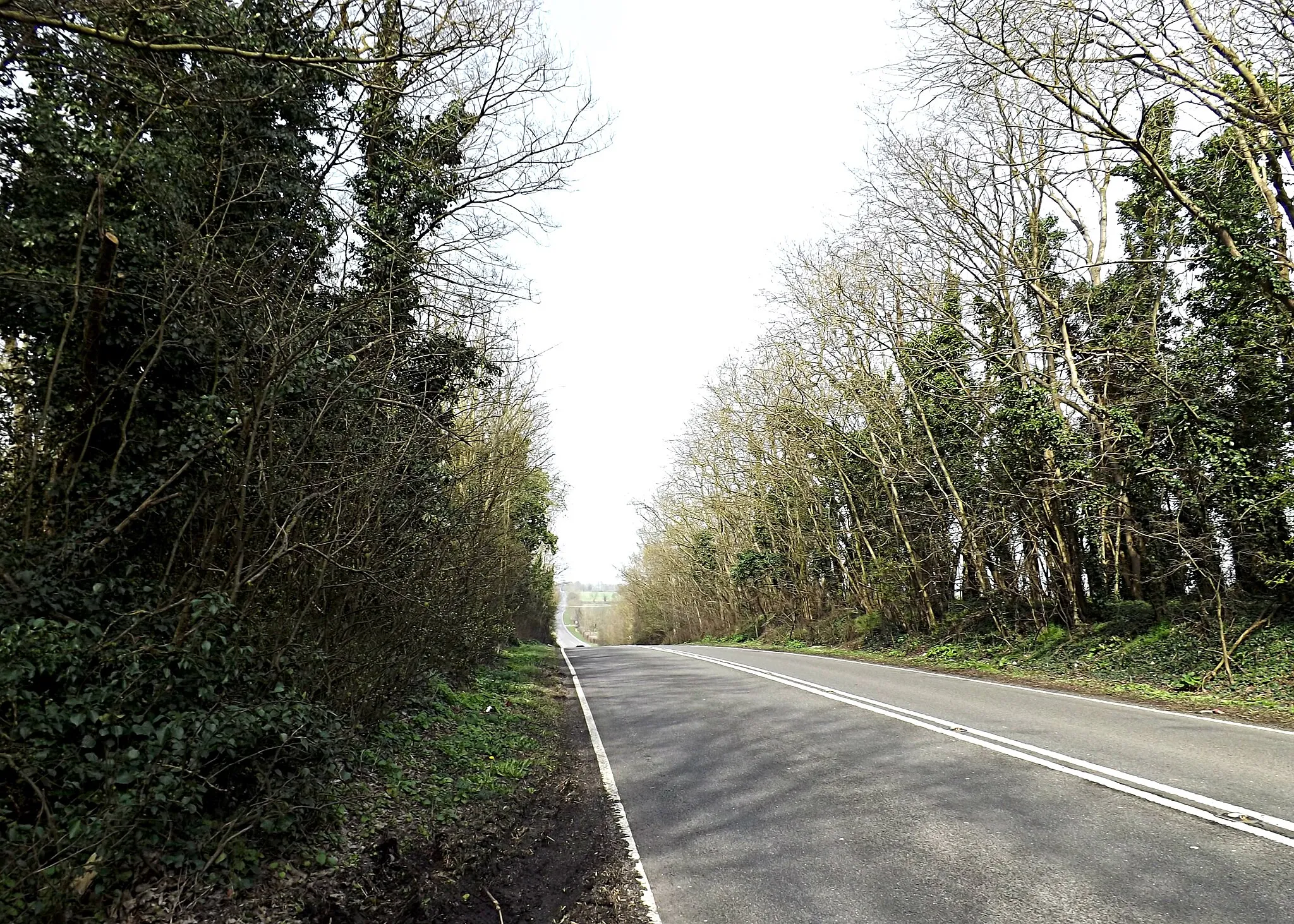 Photo showing: A1198 Ermine Street