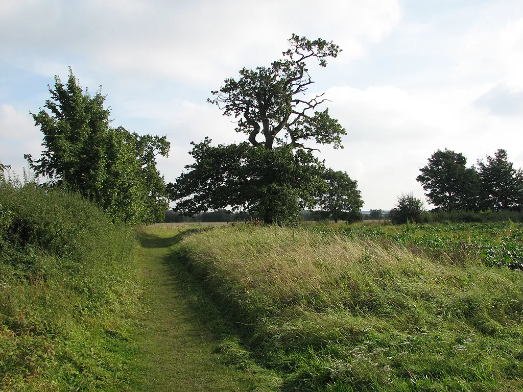 Photo showing: A bend in the path