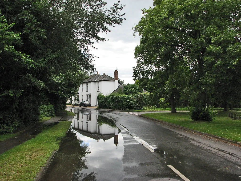 Photo showing: Shepreth: wet summer