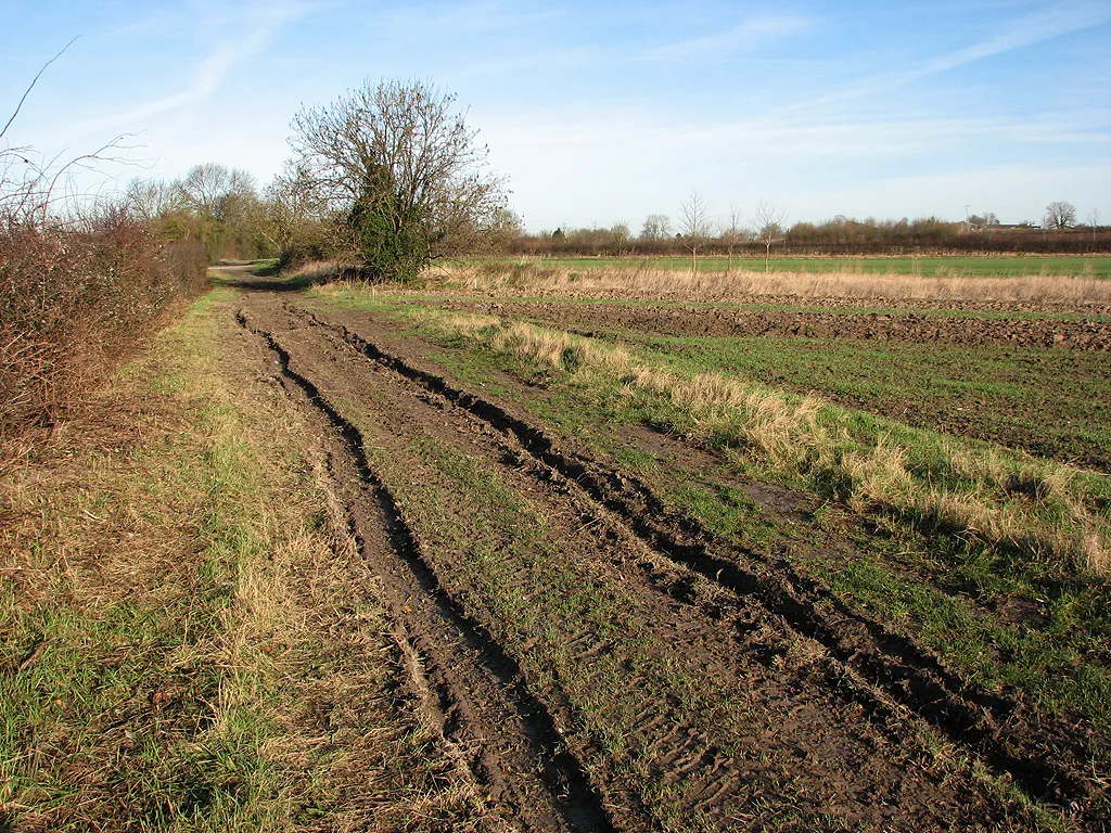 Photo showing: Barston Drove, nearing Reach