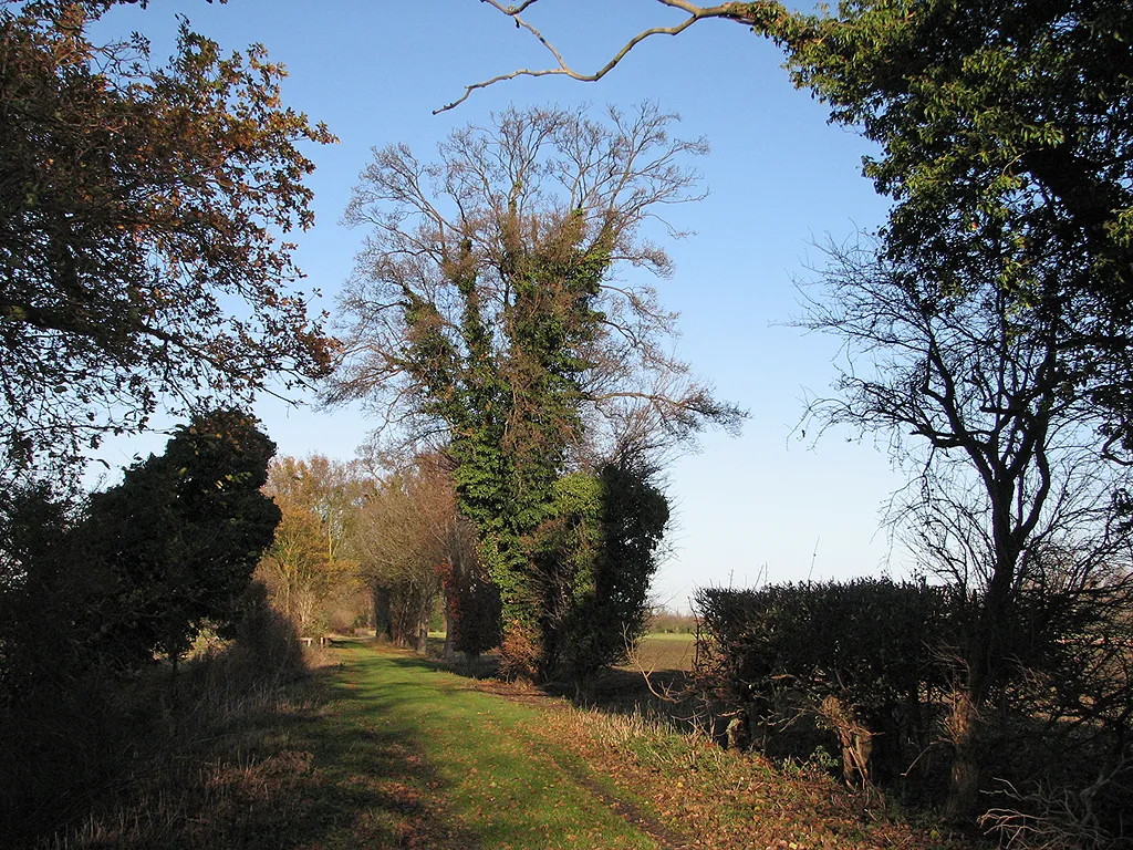 Photo showing: A farm track in November