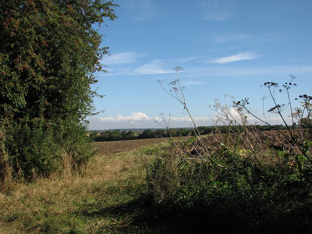 Photo showing: At a bend in the byway