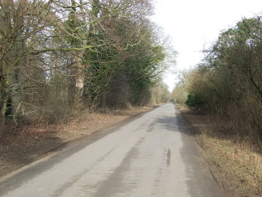 Photo showing: Country Road