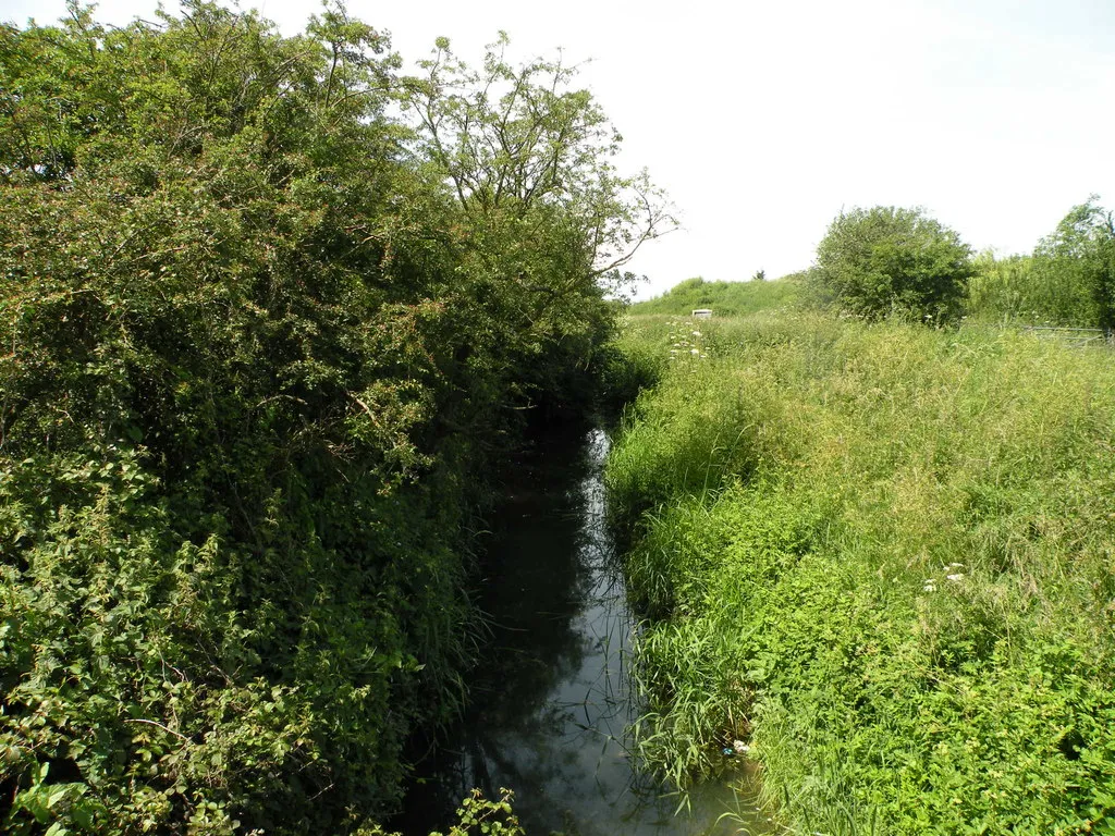 Photo showing: A shady stream