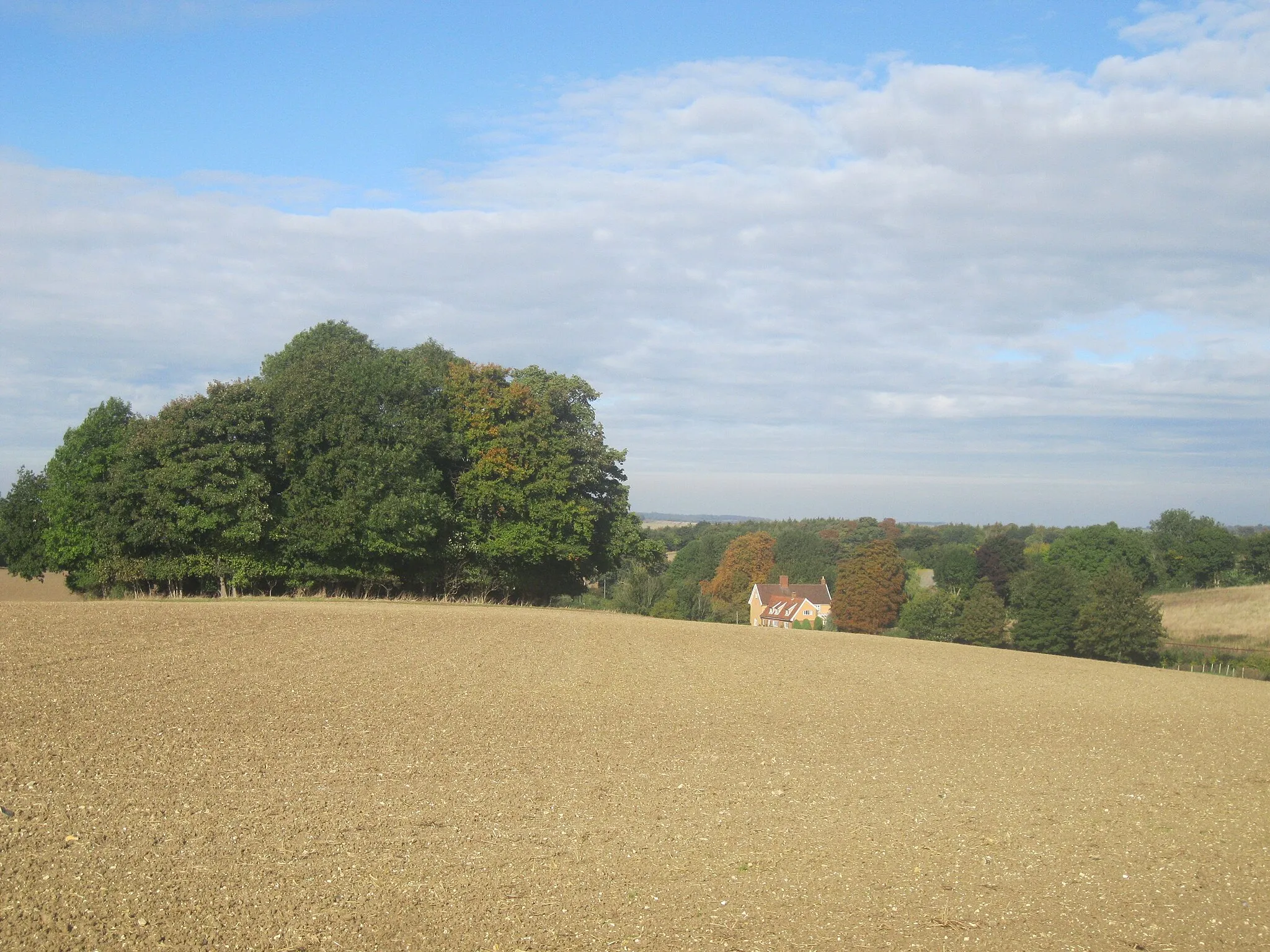Photo showing: Hilly farmland at Ousden