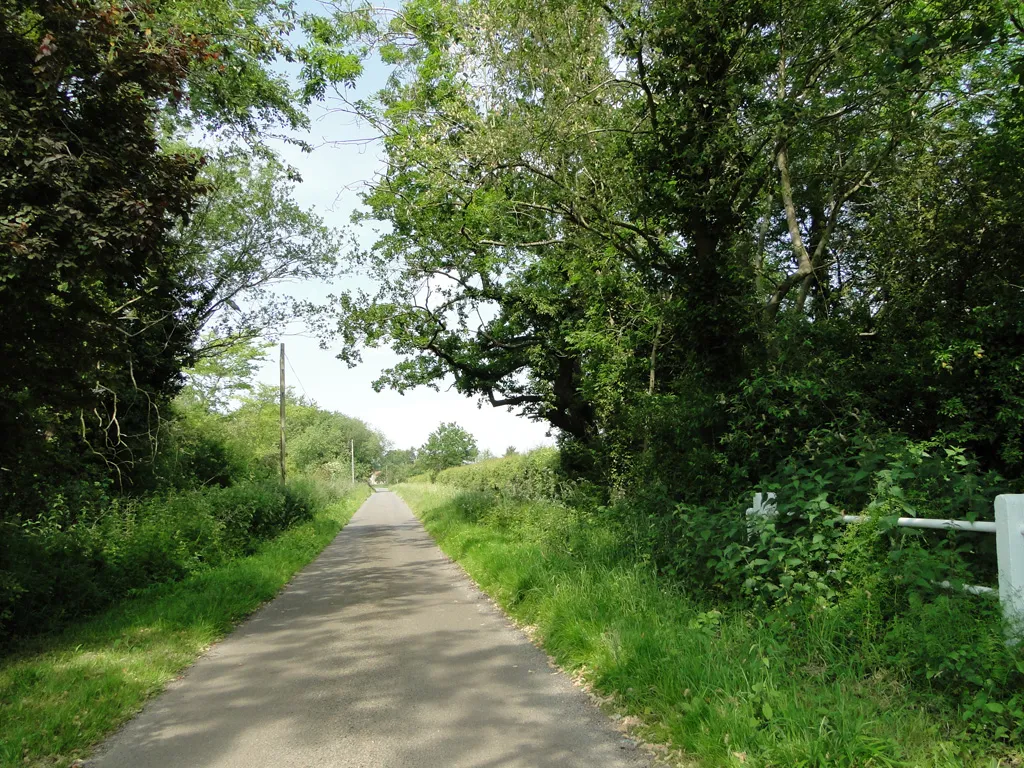 Photo showing: A shady lane at Beckett End