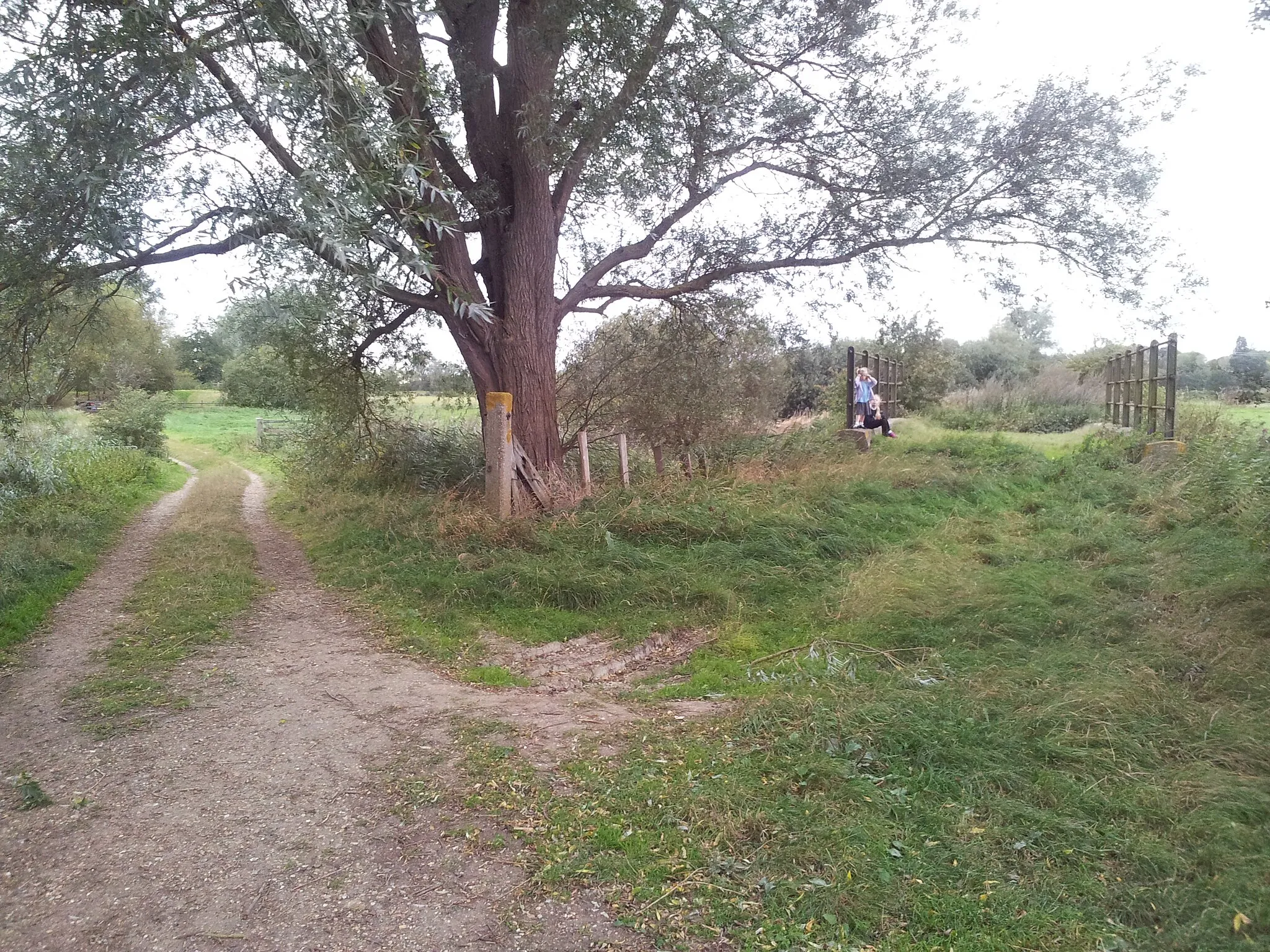 Photo showing: A bridge on the  disused Waveney Valley rail line