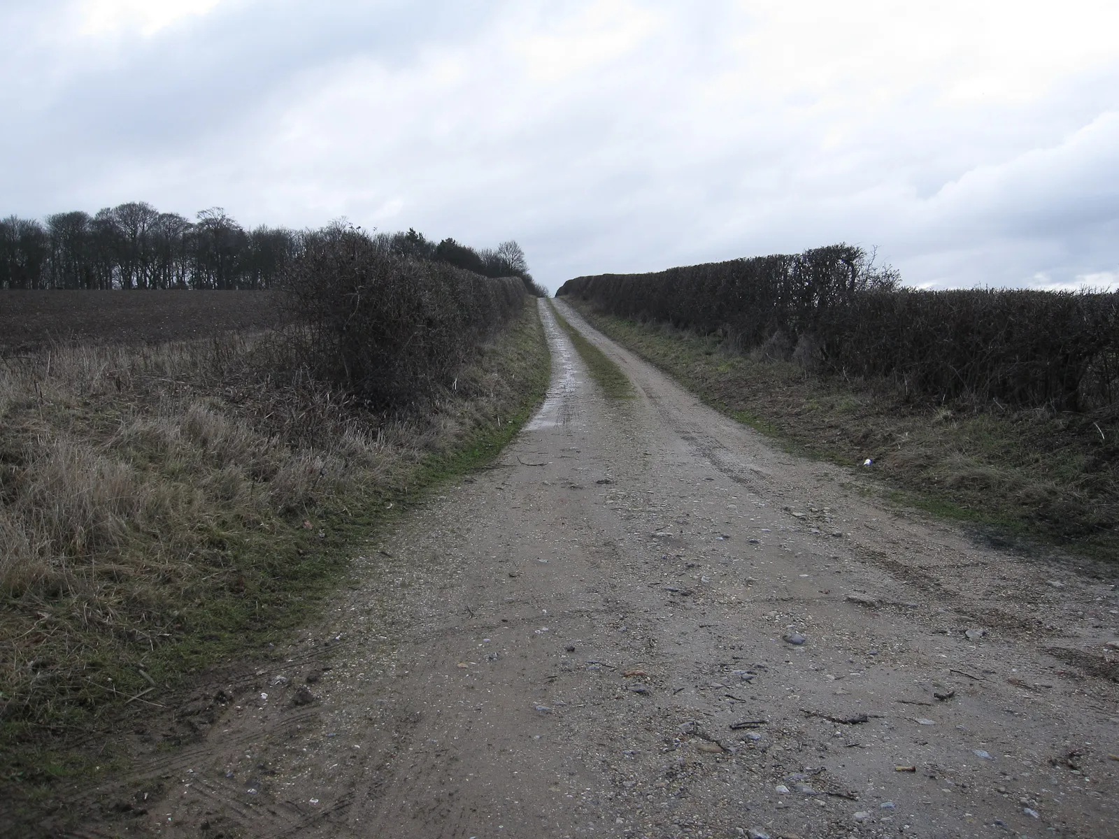Photo showing: Farm track Heading away from Sussex Farm.