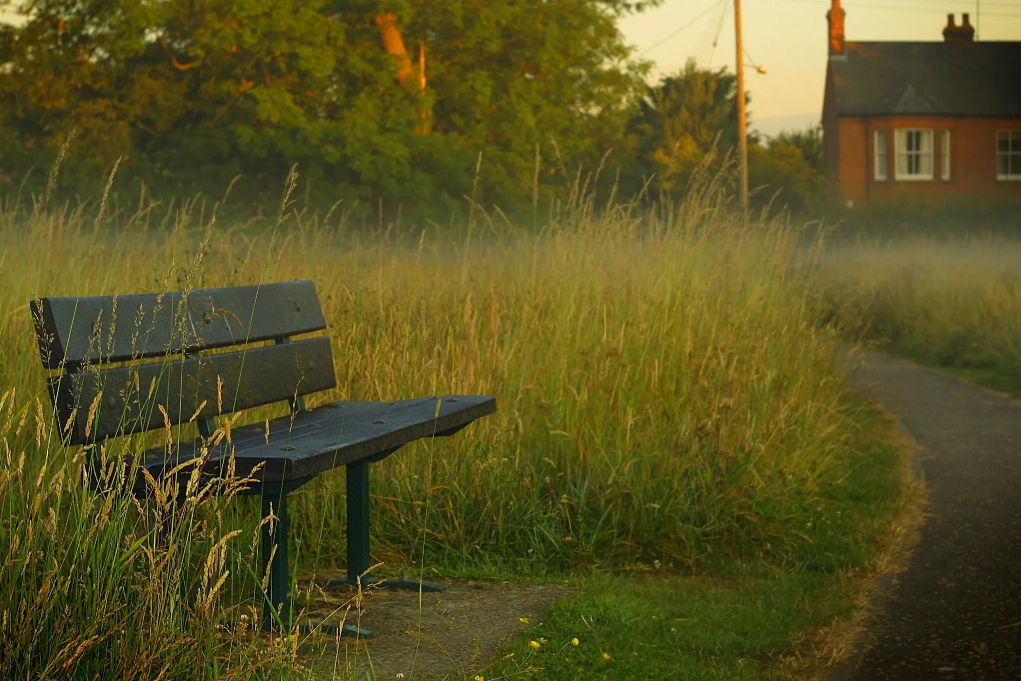 Photo showing: A bench on the village green in Watlington.