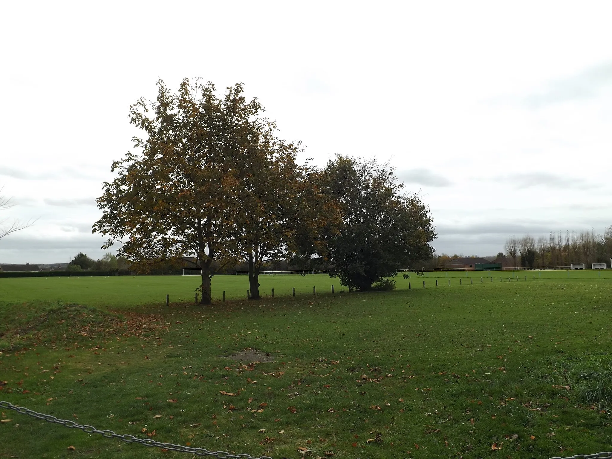 Photo showing: Alan King Playing Field