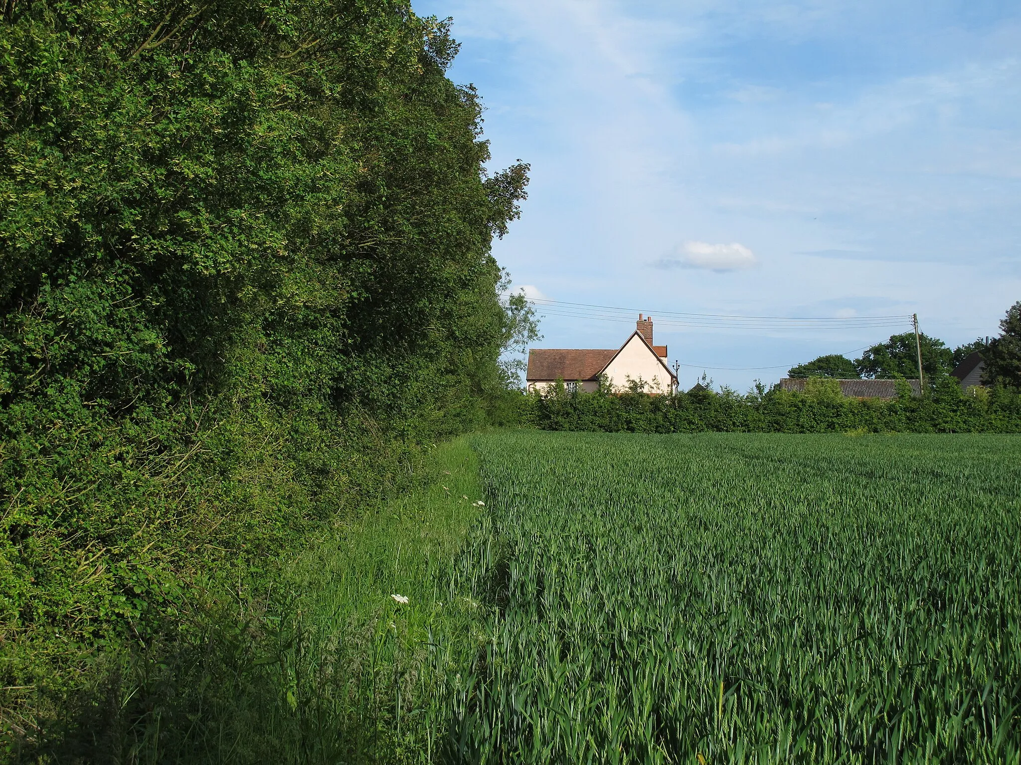 Photo showing: Arable field boundary, BonnyWood Farm, Willisham Tye