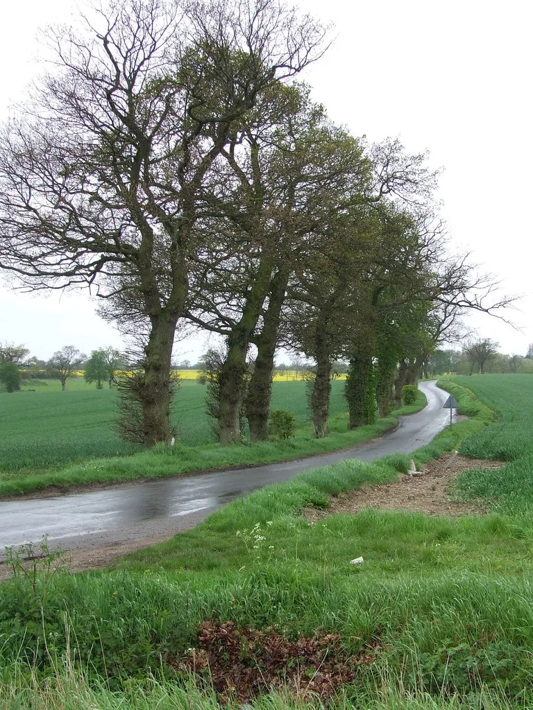 Photo showing: Country Road