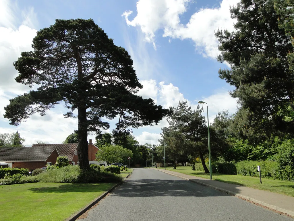 Photo showing: Sandpit Lane, Thurston