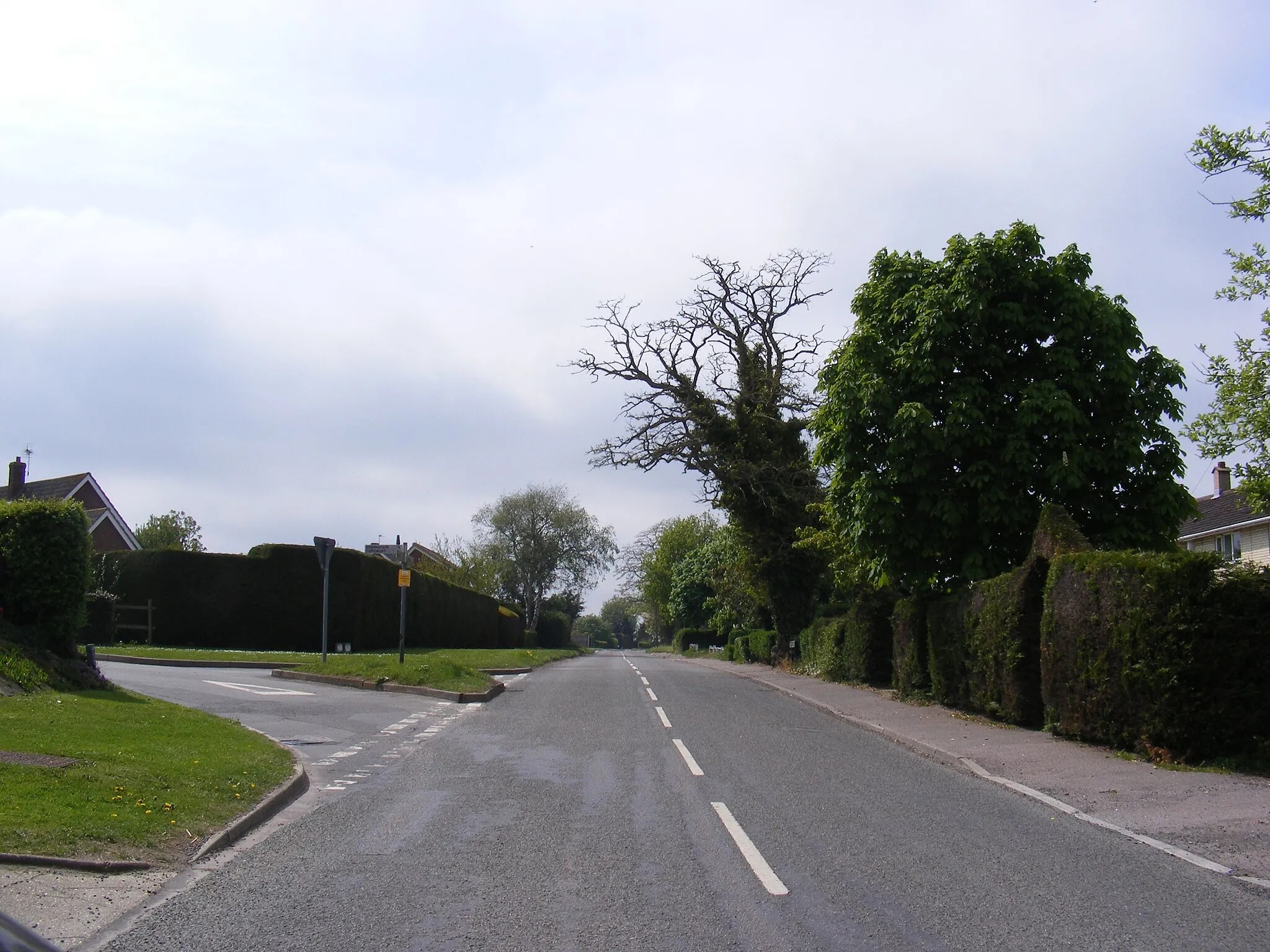 Photo showing: Hempnall Road, Woodton