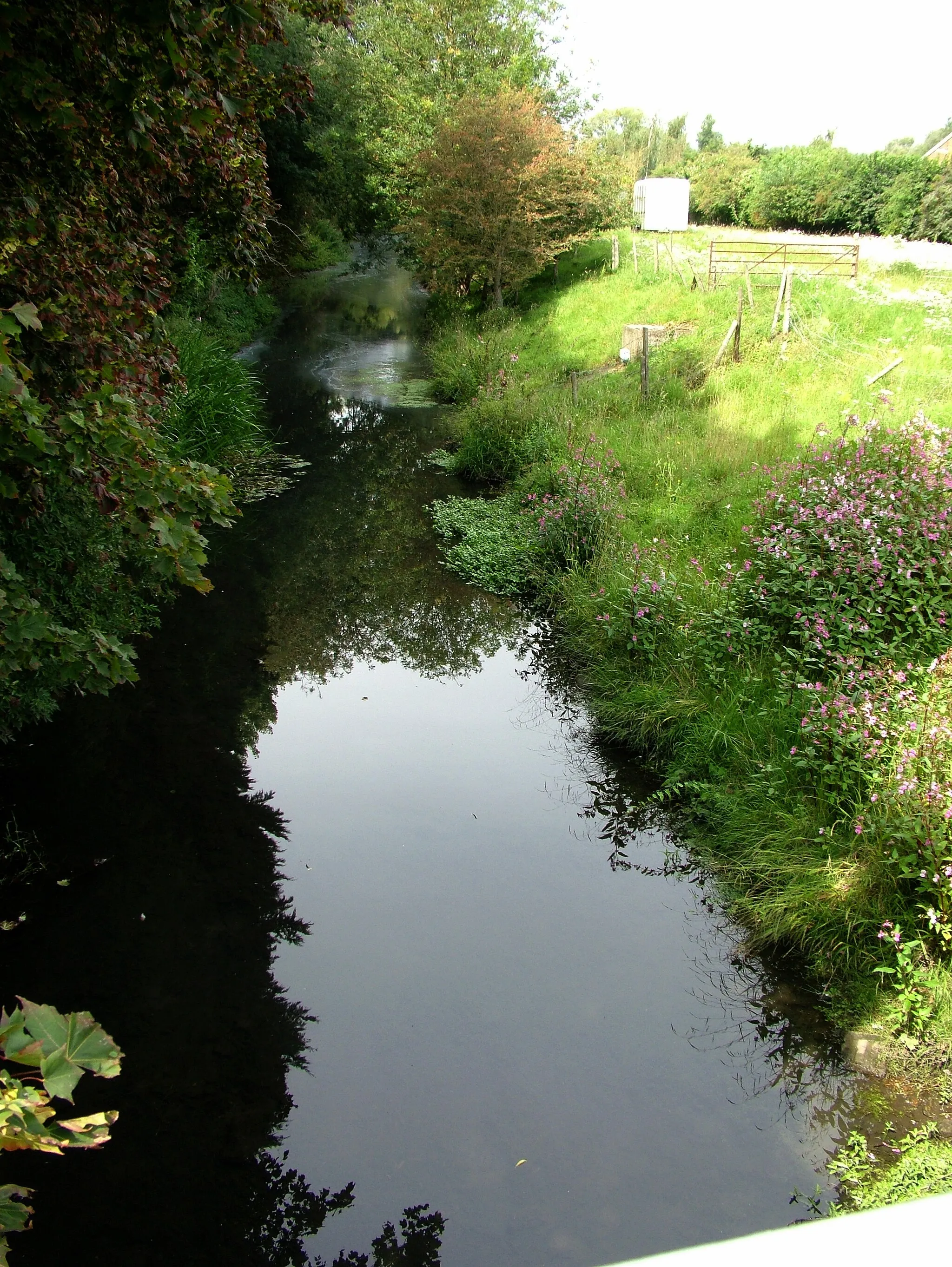 Photo showing: River Lark north of Tollgate Bridge