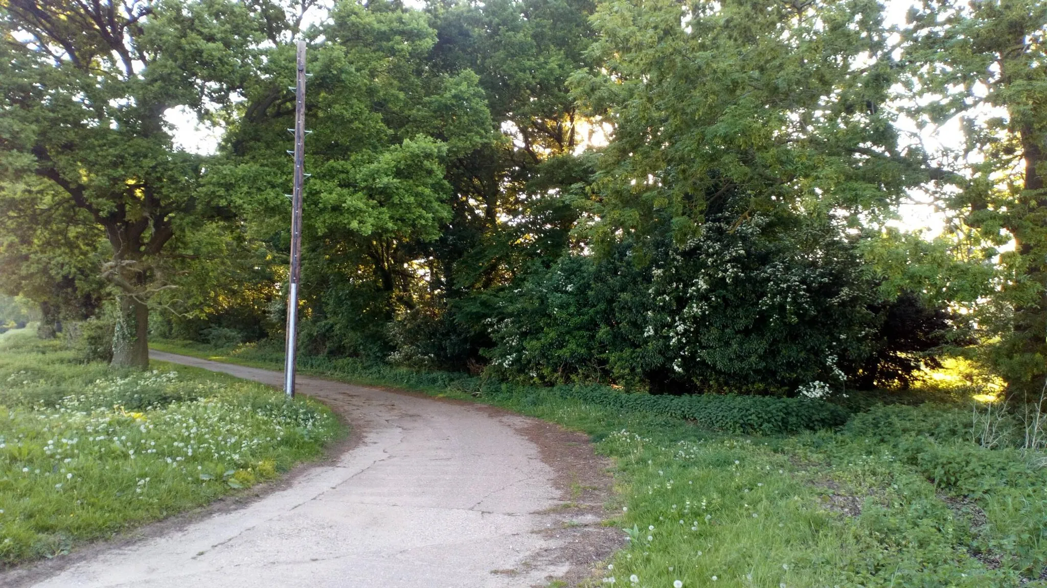 Photo showing: Bend In The Bridleway