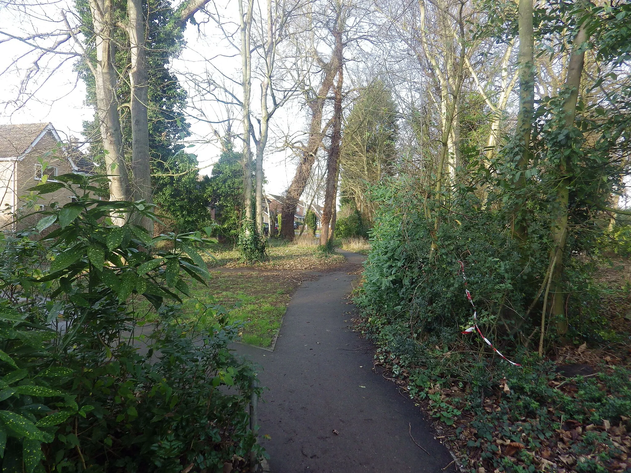 Photo showing: Footpath through Great Barton