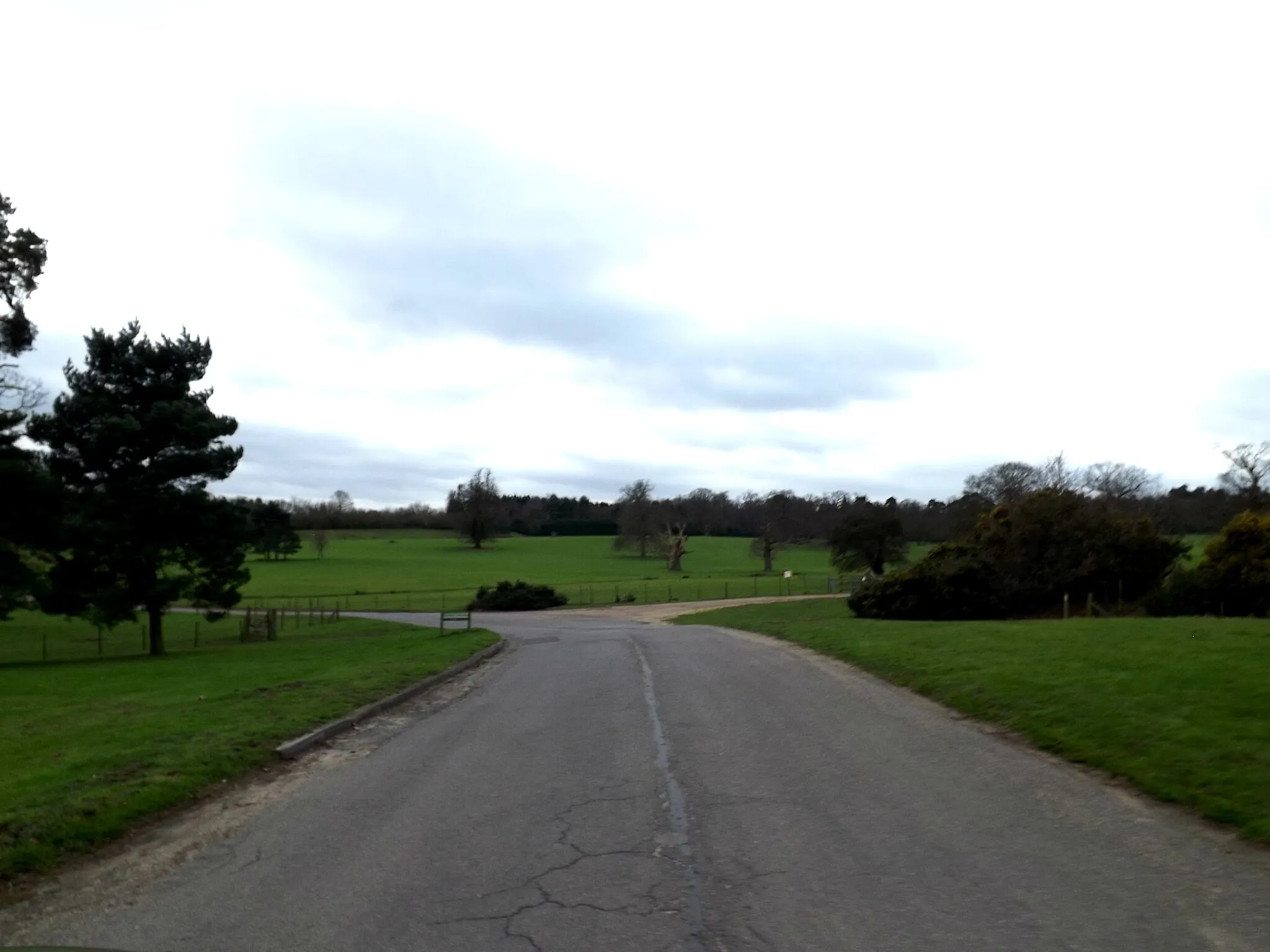 Photo showing: Entrance to Haughley Park