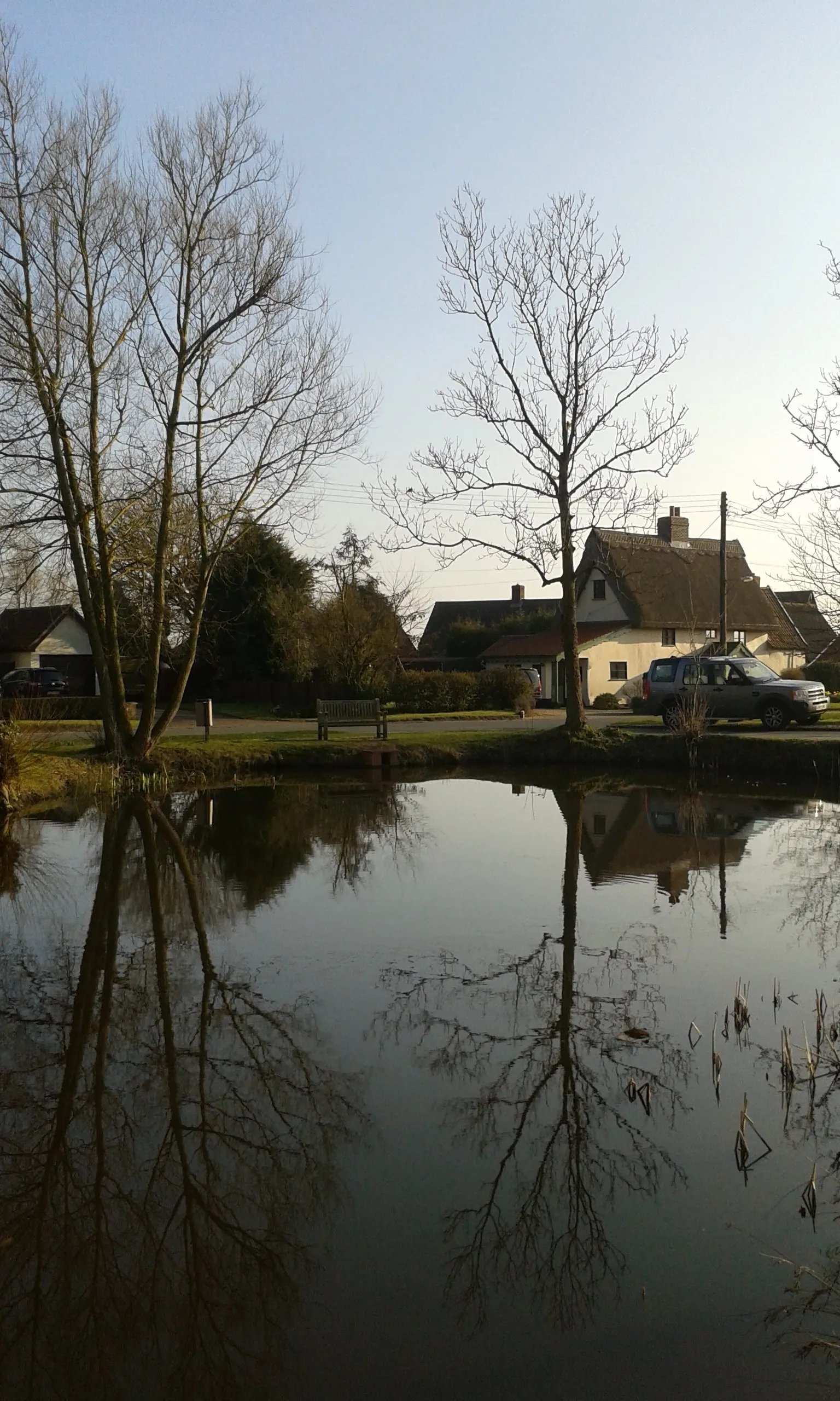 Photo showing: This pond is on Shop Green, a small Village Green in the village of Bacton, Suffolk, England.  The green is so named because the village shop is located there.