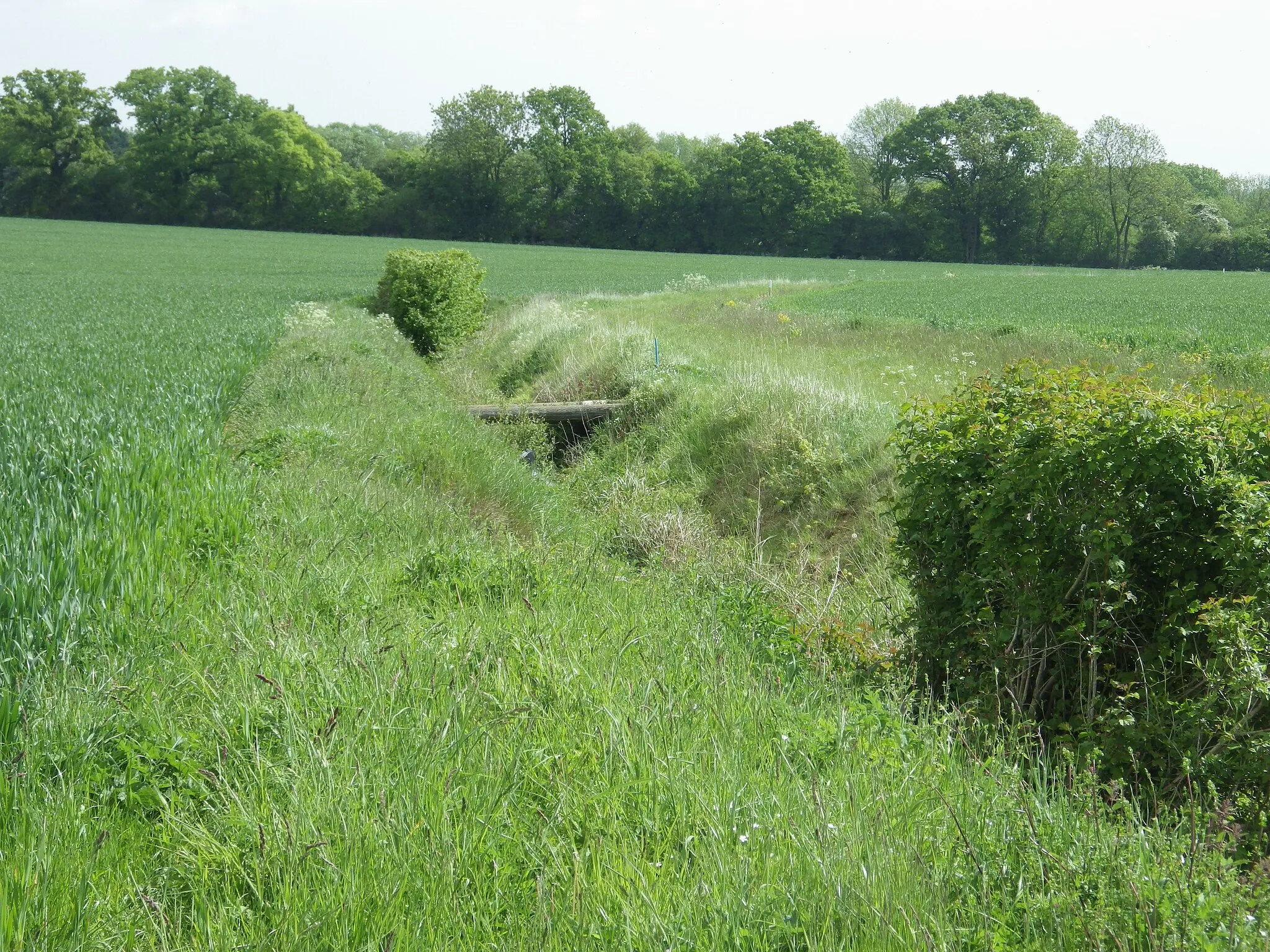 Photo showing: Cross ditch here