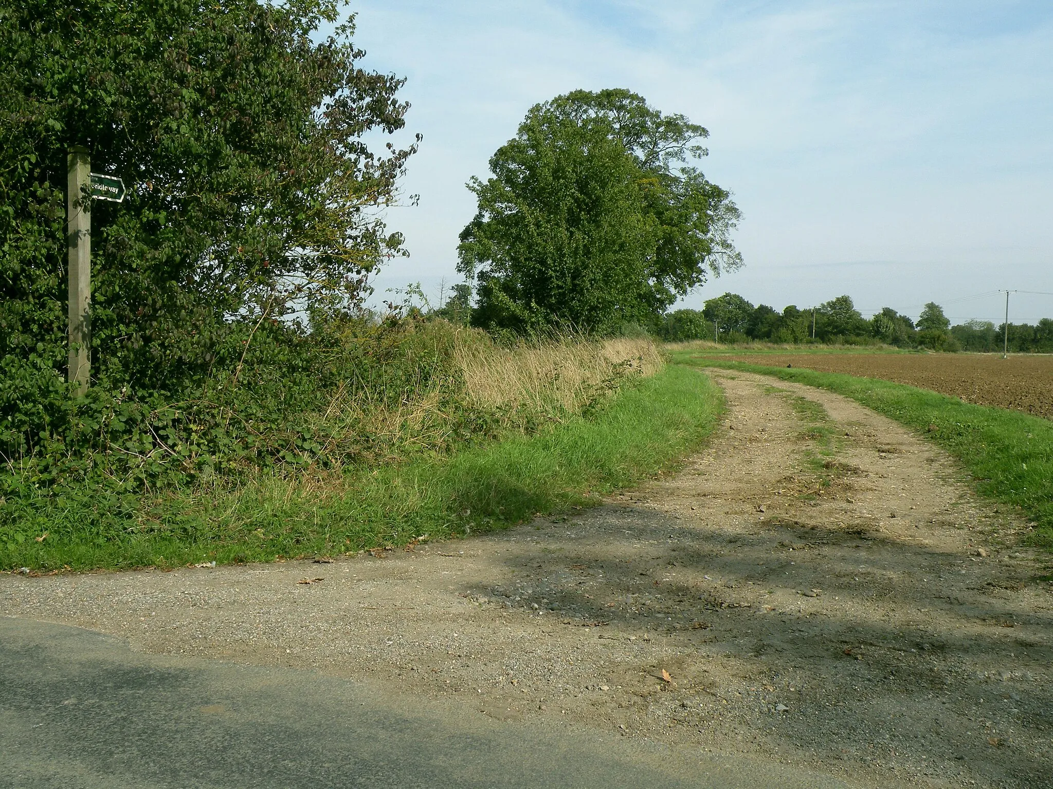 Photo showing: Bridleway by Chadacre Park