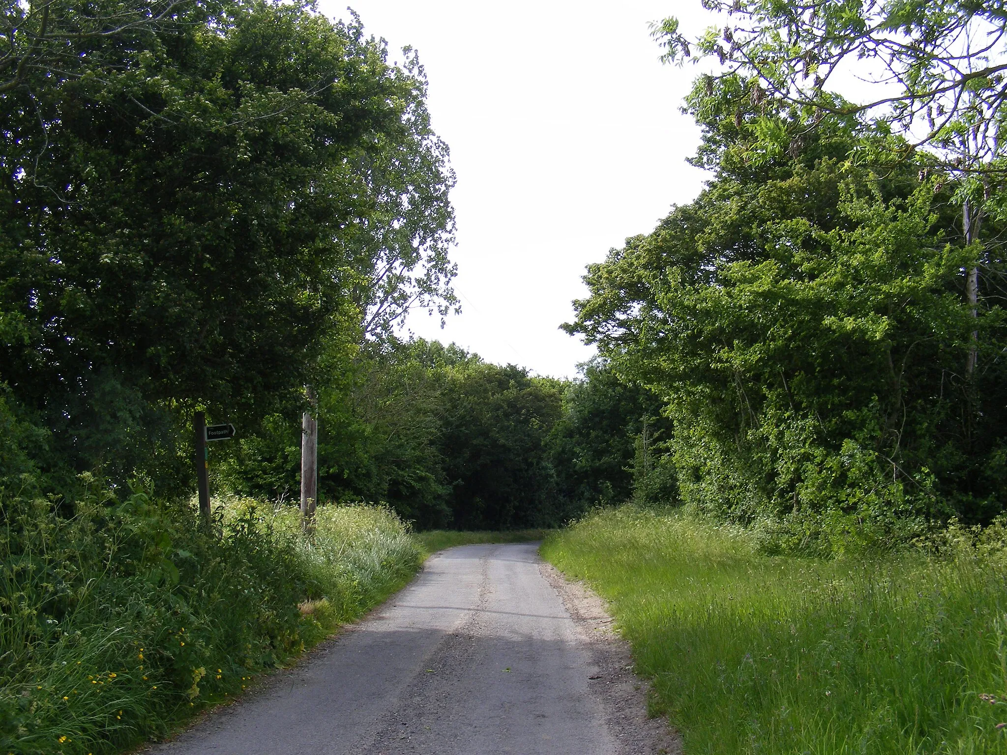 Photo showing: Bacon's Green Road & footpath