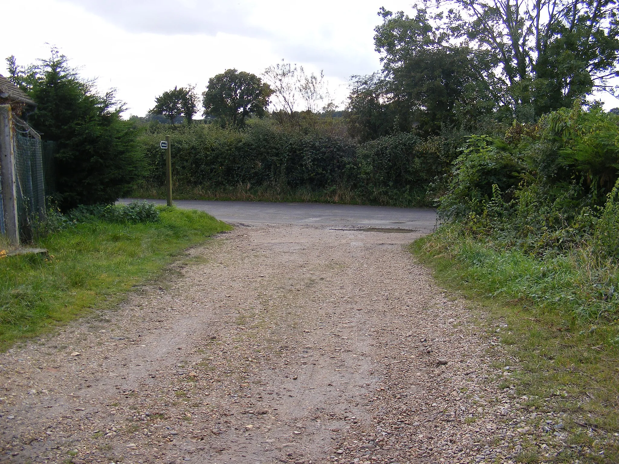 Photo showing: Bridleway looking towards Redisham Road