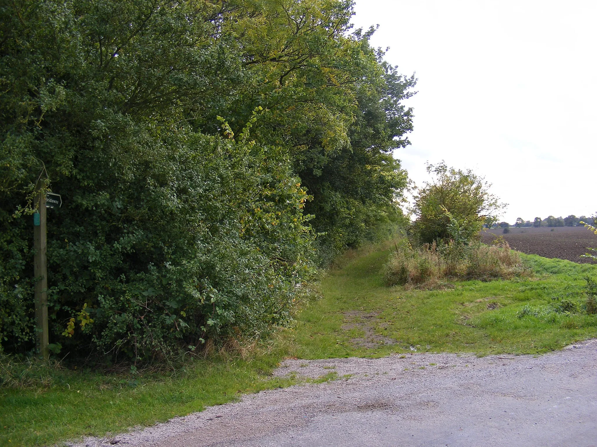 Photo showing: Bridleway to Wangford Road