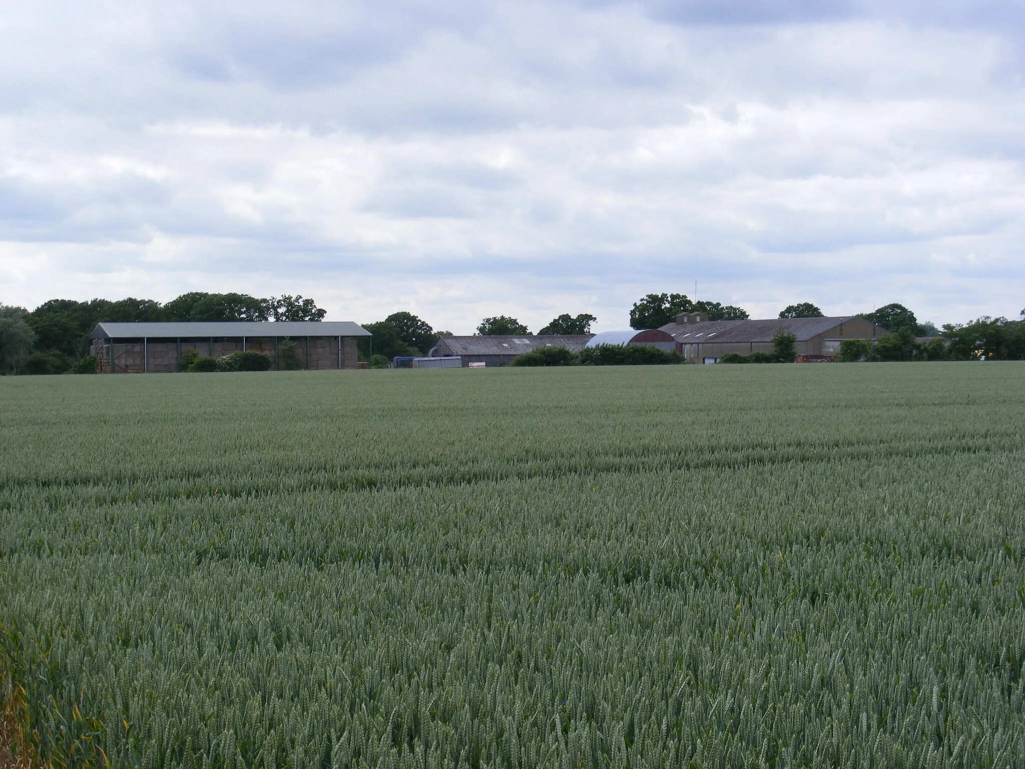 Photo showing: Boundary Farm