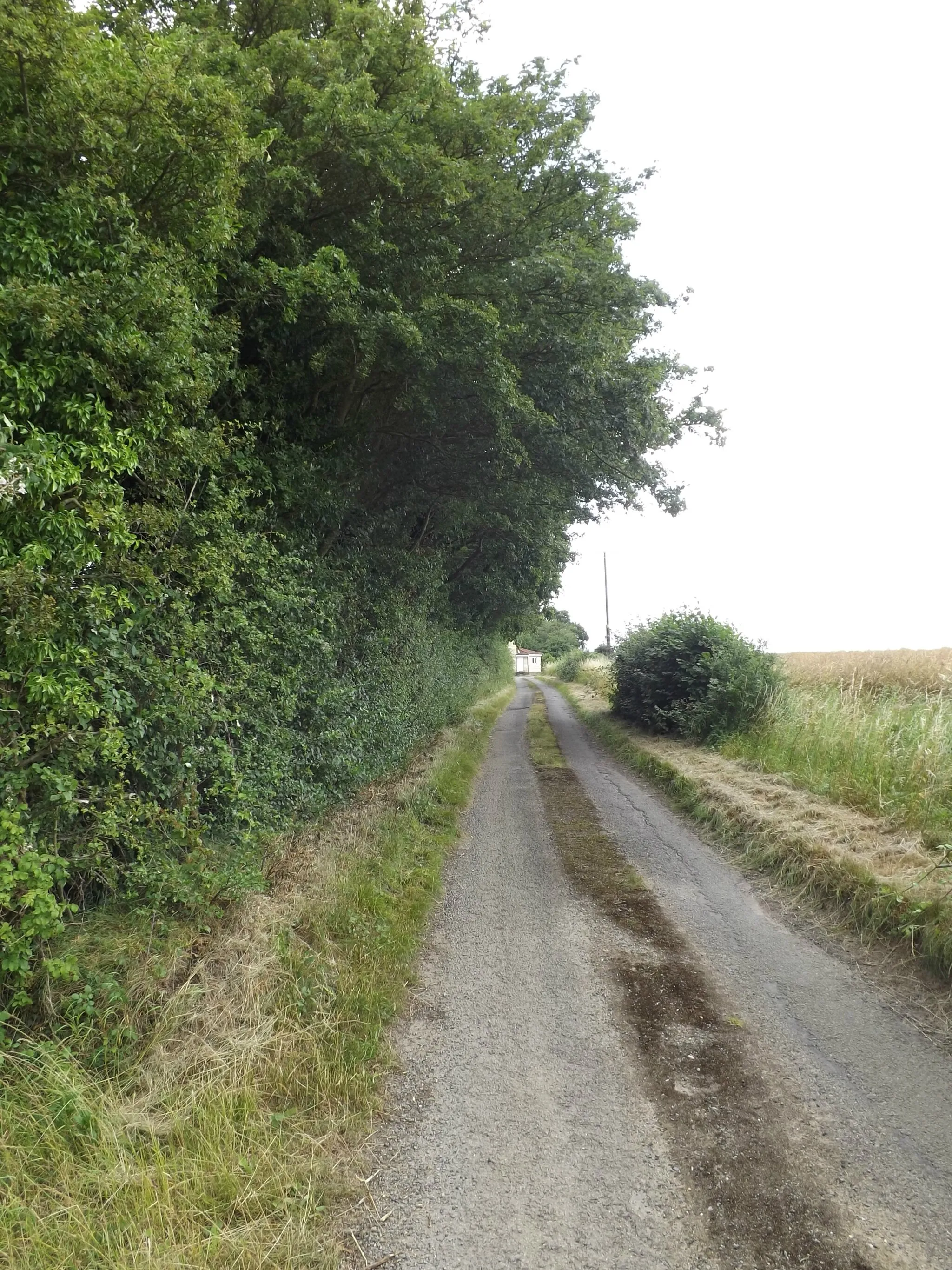 Photo showing: Church Lane, Wickham Skeith