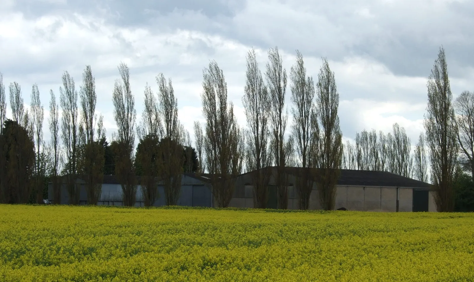 Photo showing: Farm buildings, St. Vincent's Cross Farm