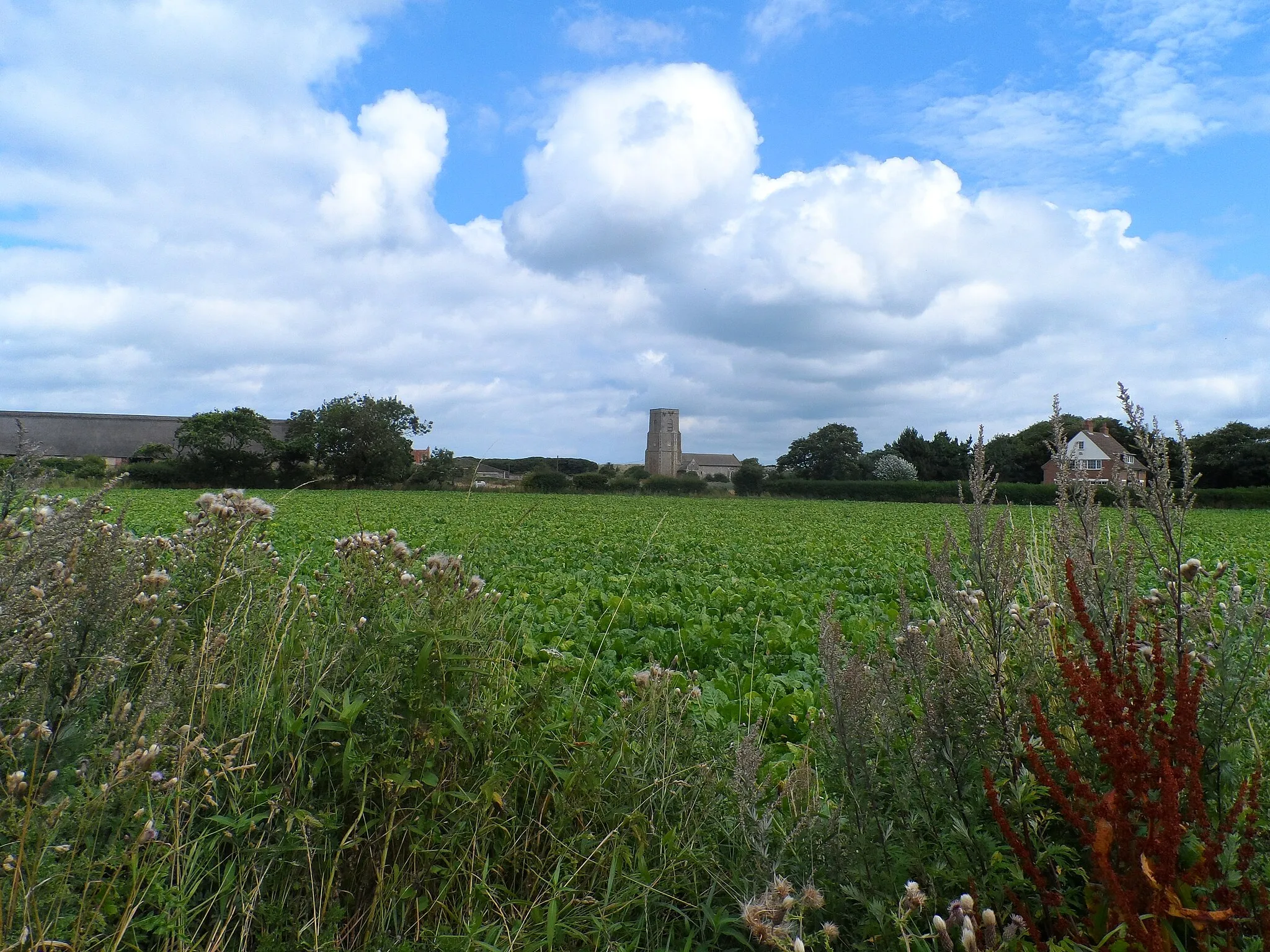 Photo showing: Arable fields and St John's church, Great Waxham