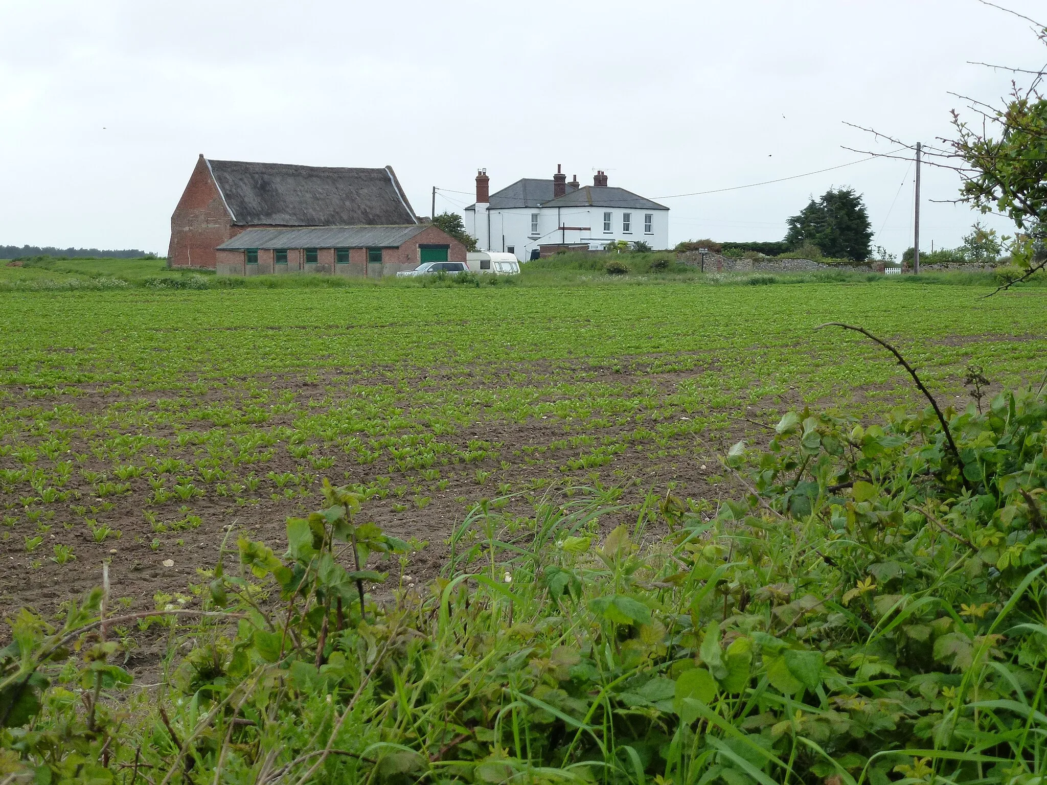 Photo showing: Castle Farm