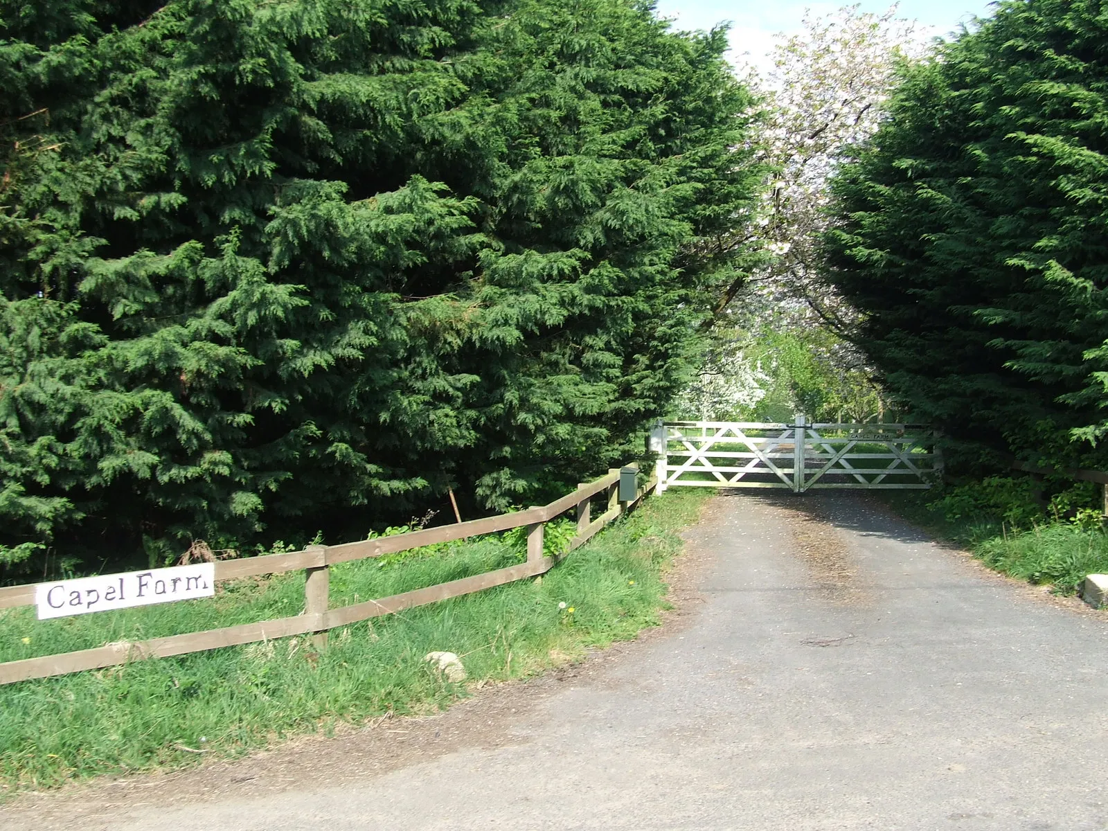 Photo showing: Capel Farm entrance