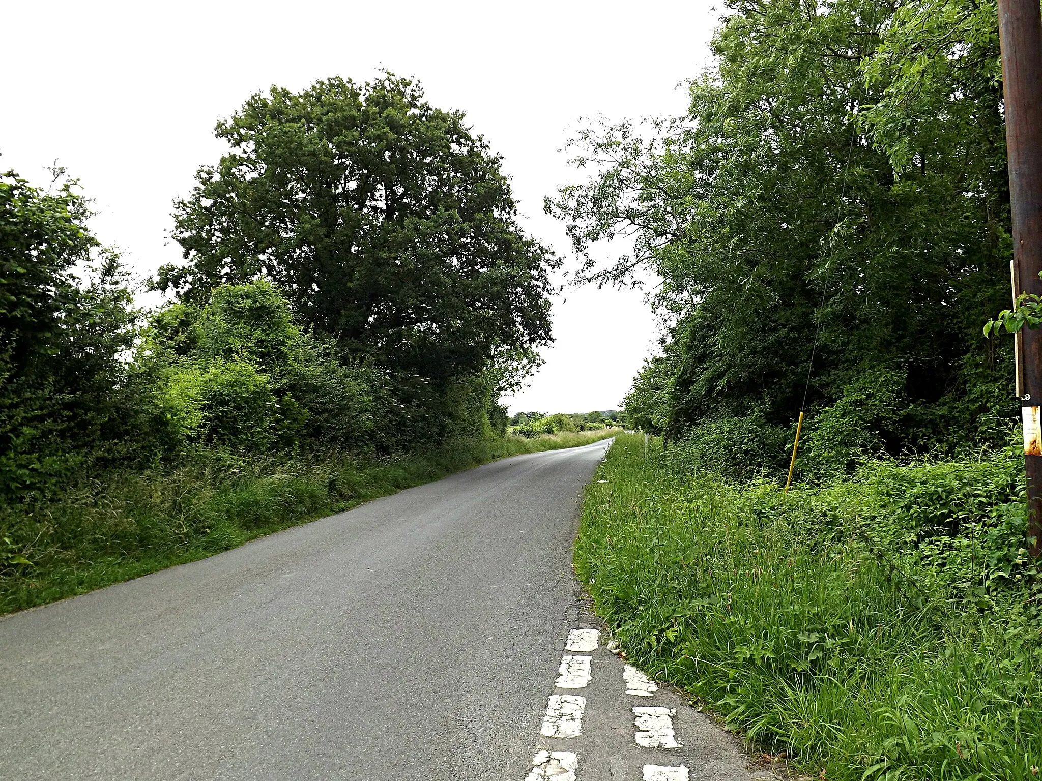 Photo showing: Cockfield Road, Great Green