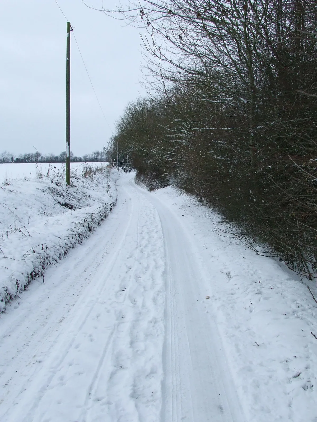 Photo showing: Country Lane