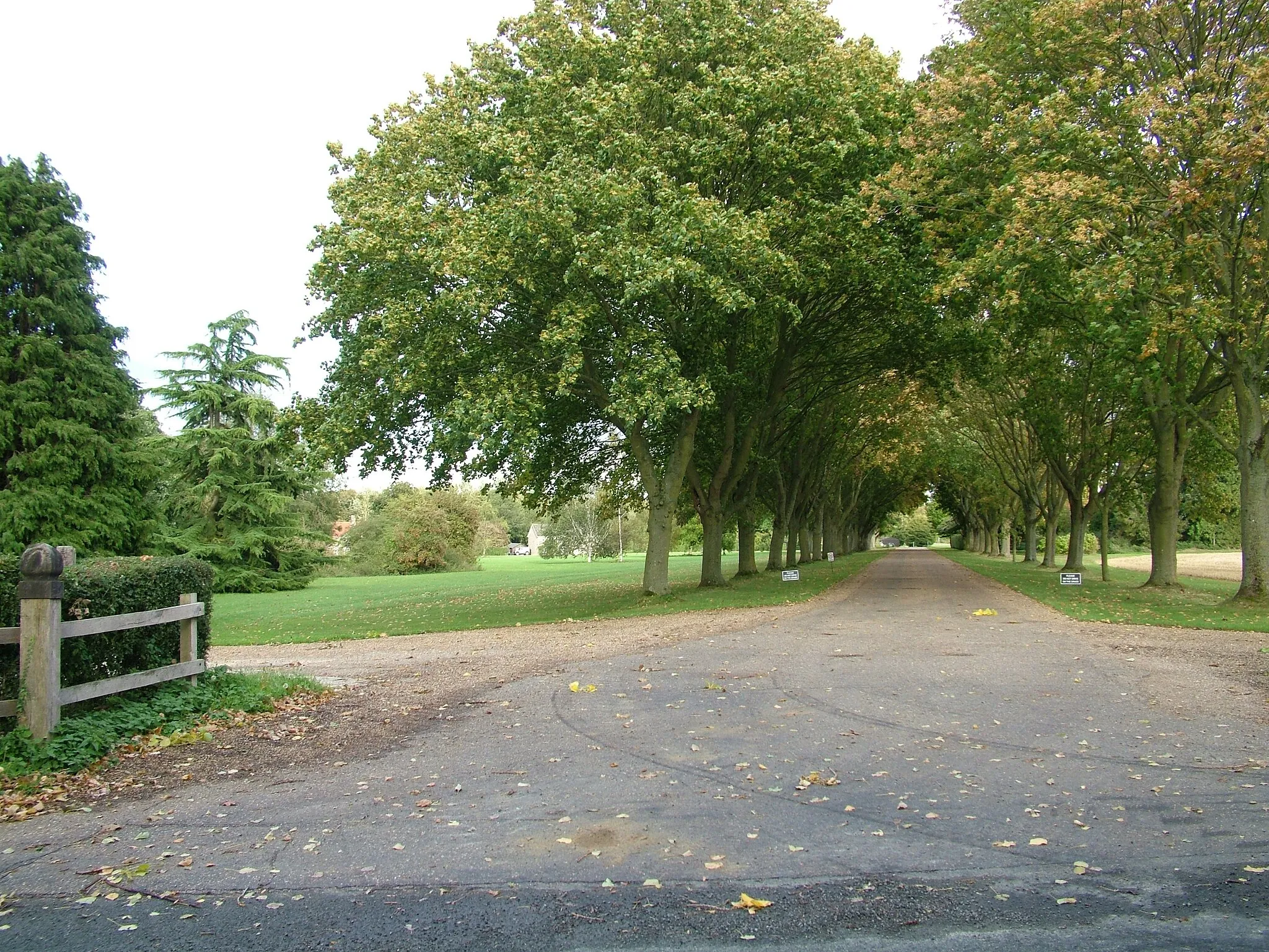 Photo showing: Clopton Green farm entrance avenue
