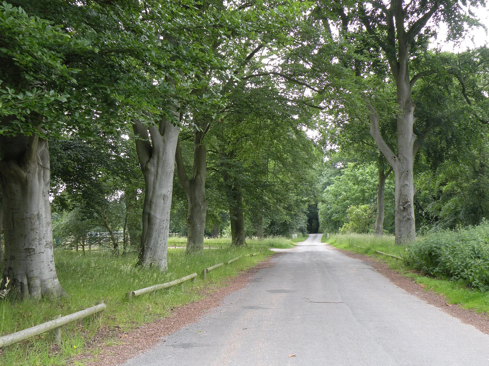 Photo showing: Angles Way, by Knettishall Heath Country Park