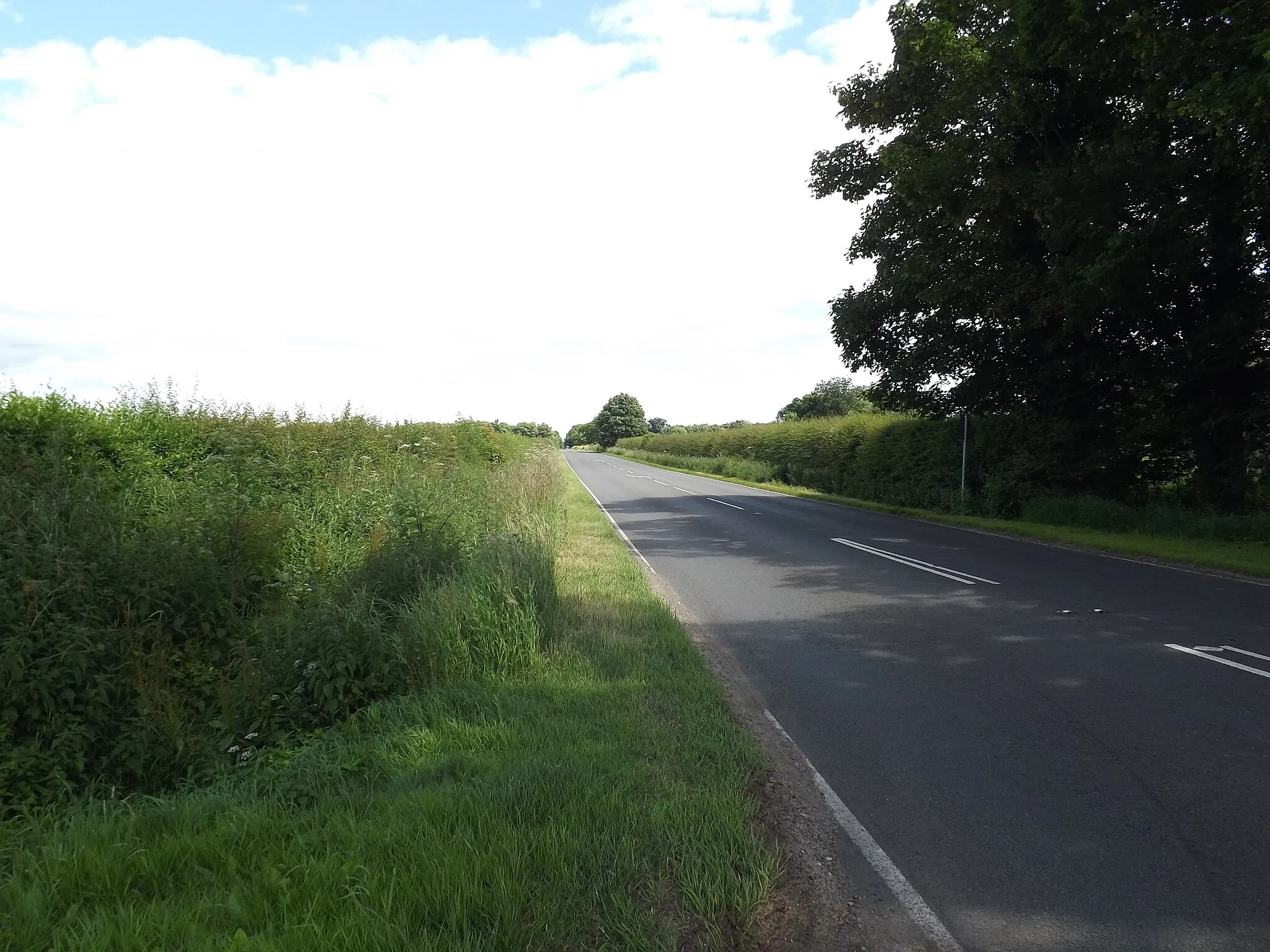 Photo showing: A1066 Thetford Road, Gasthorpe