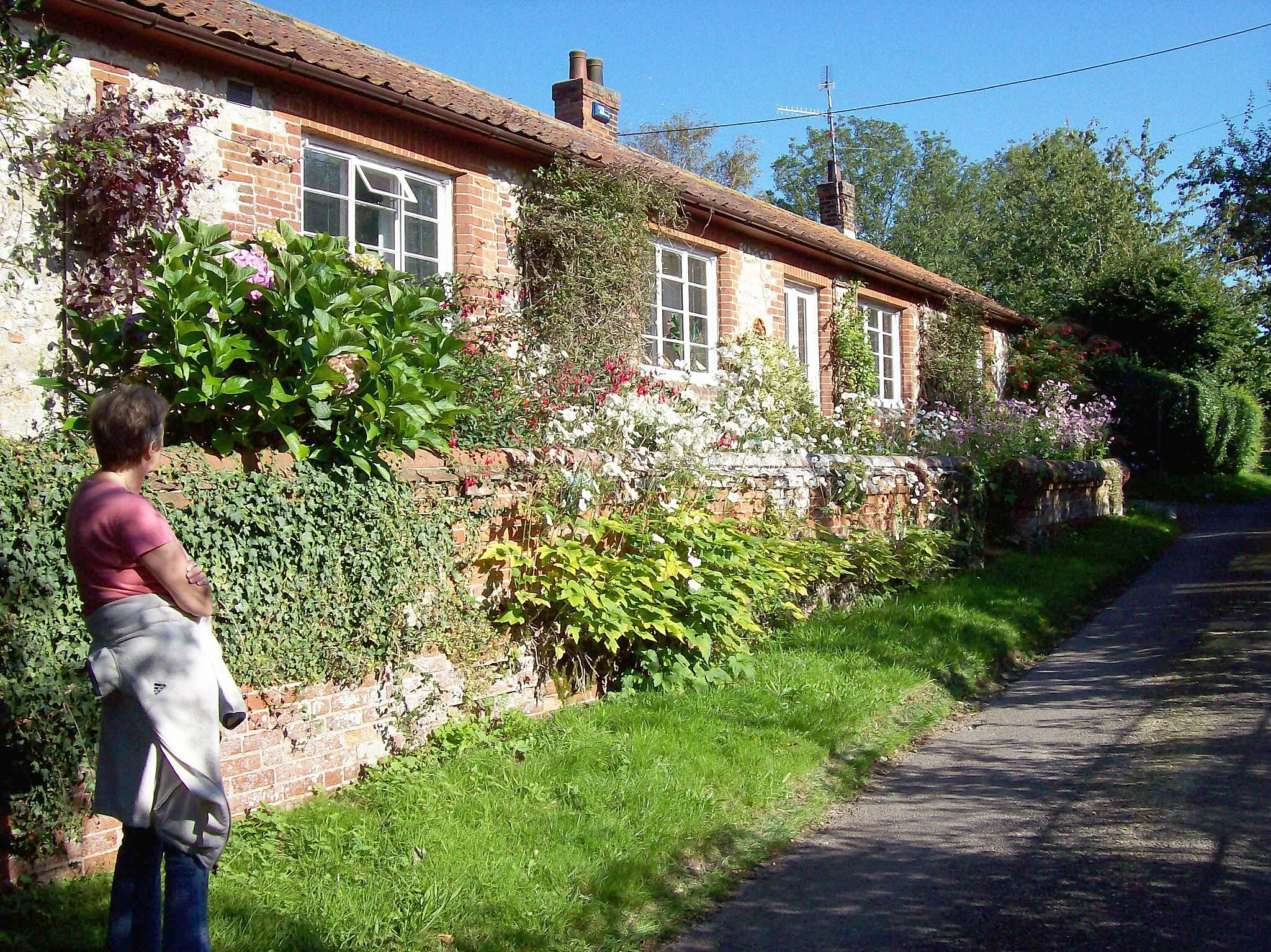 Photo showing: Cottage Flowers